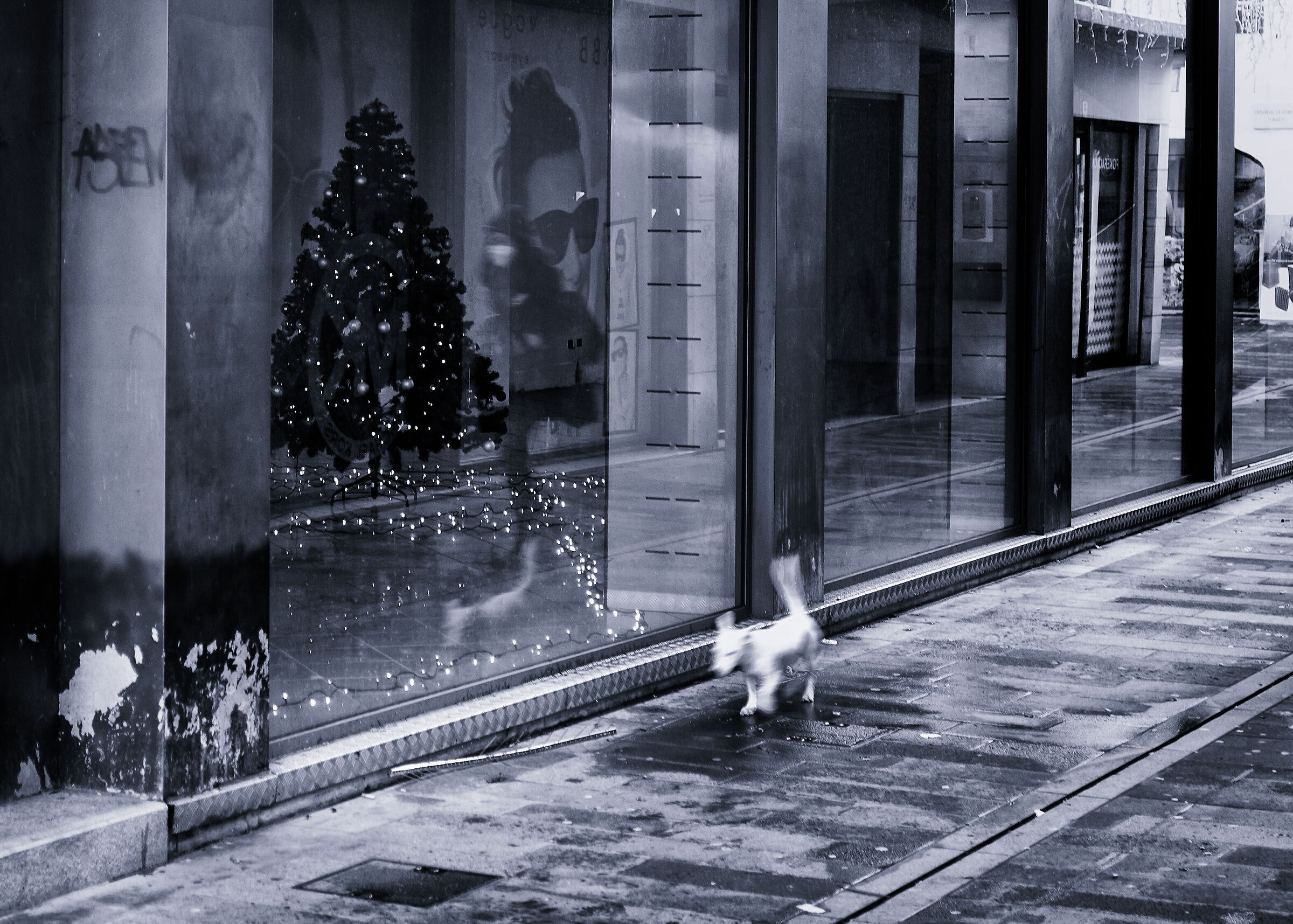The Christmas Blues