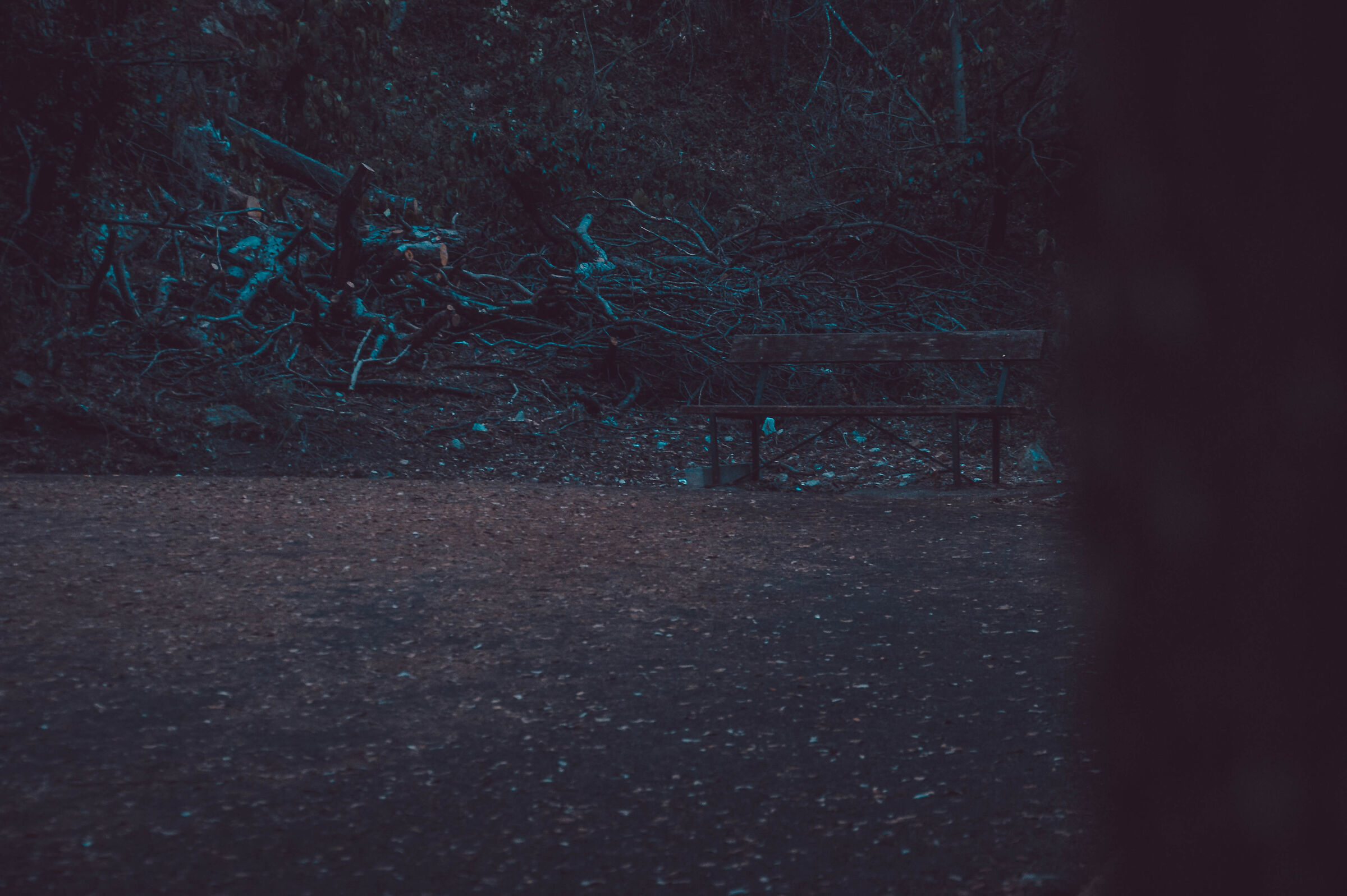 Alone
