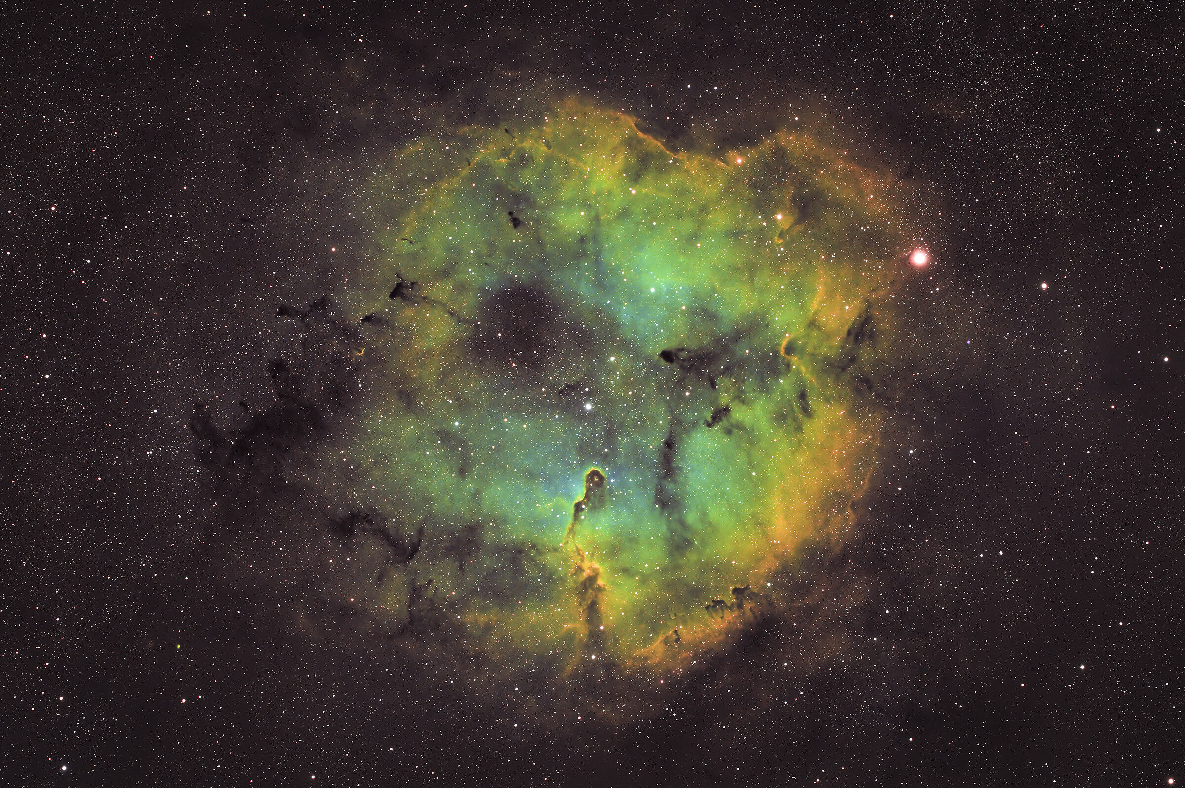 Elephant Trunk Nebula