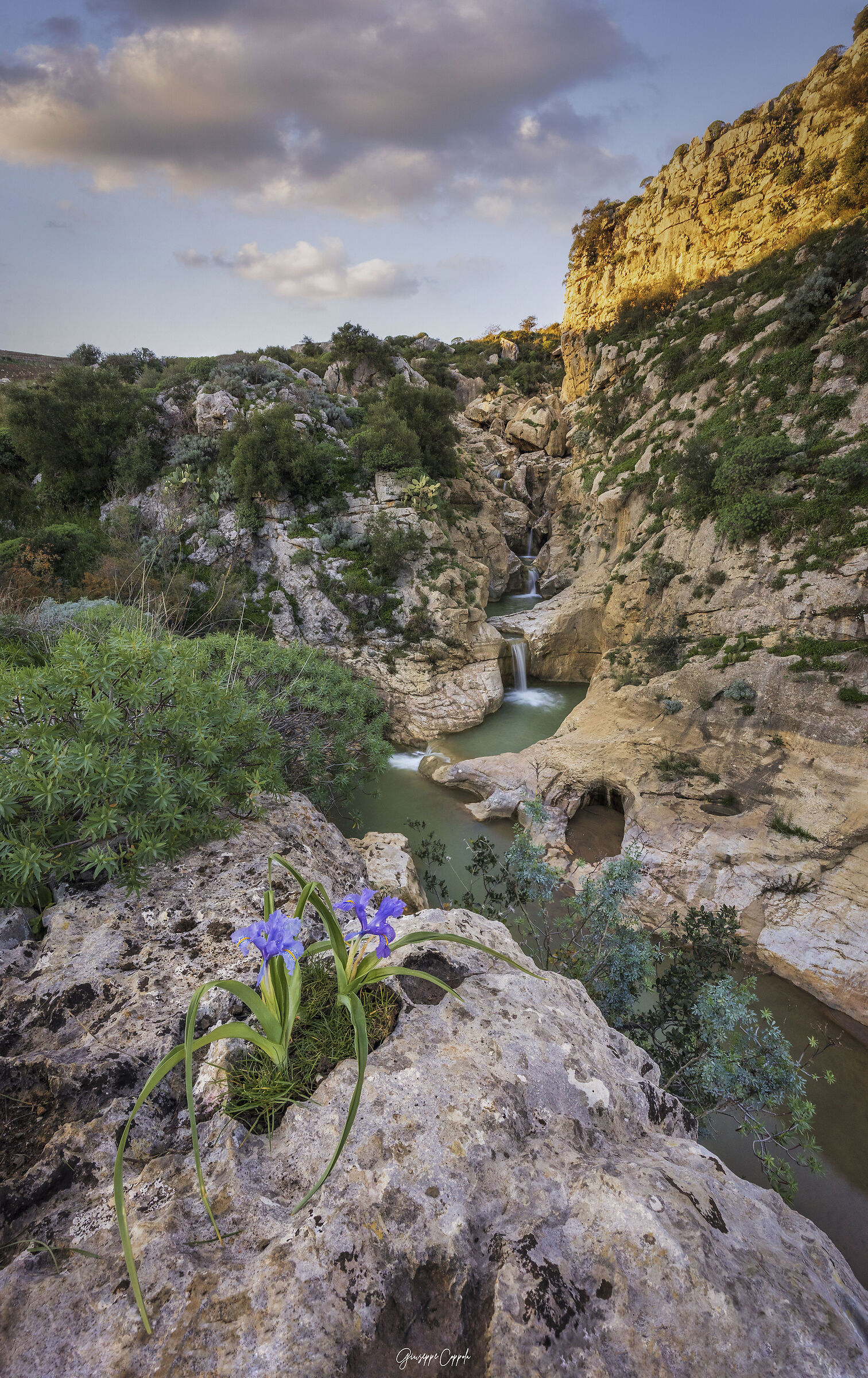 Gole del Drago - Ficuzza (Pa)