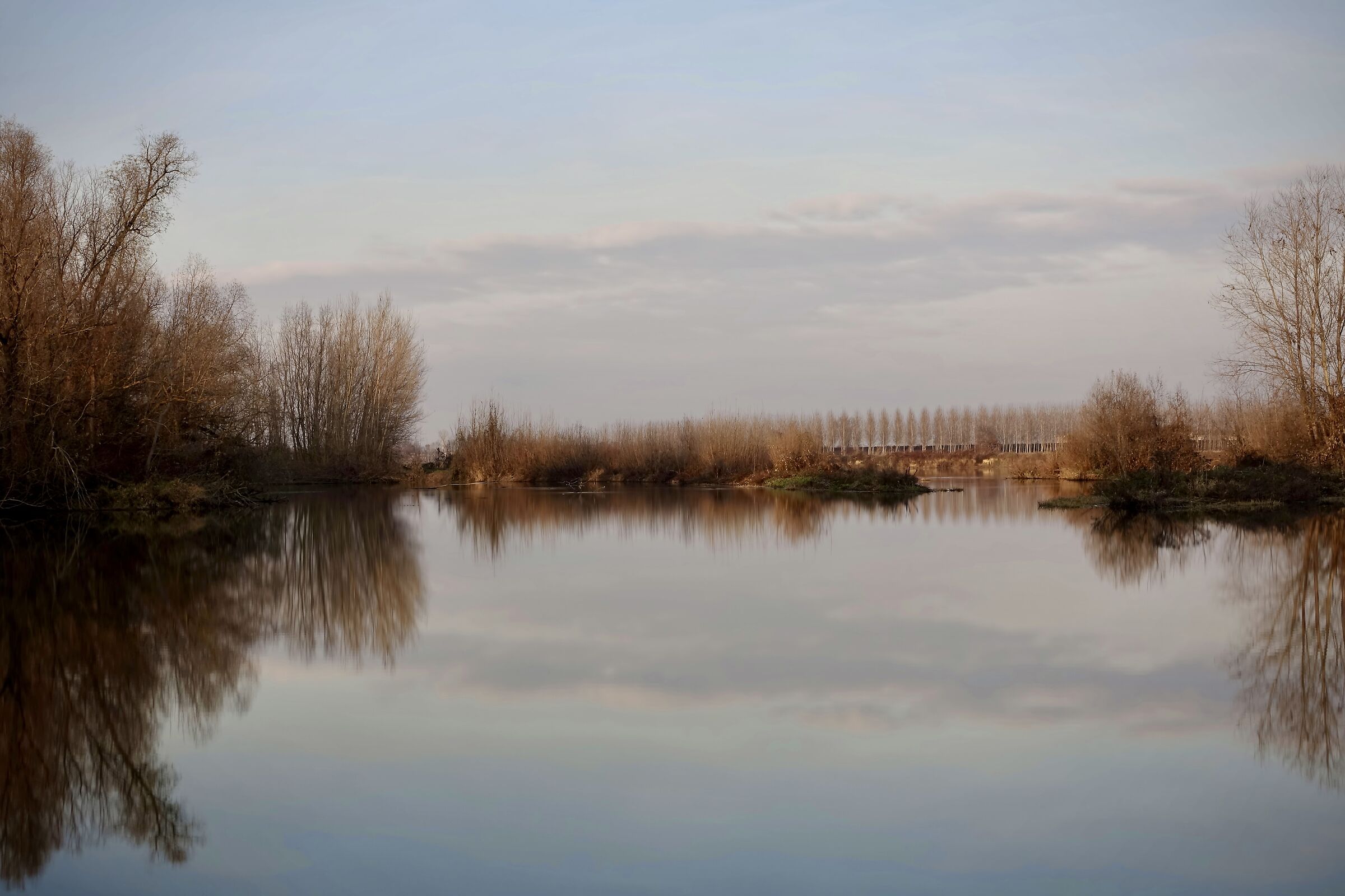 Along the Sesia