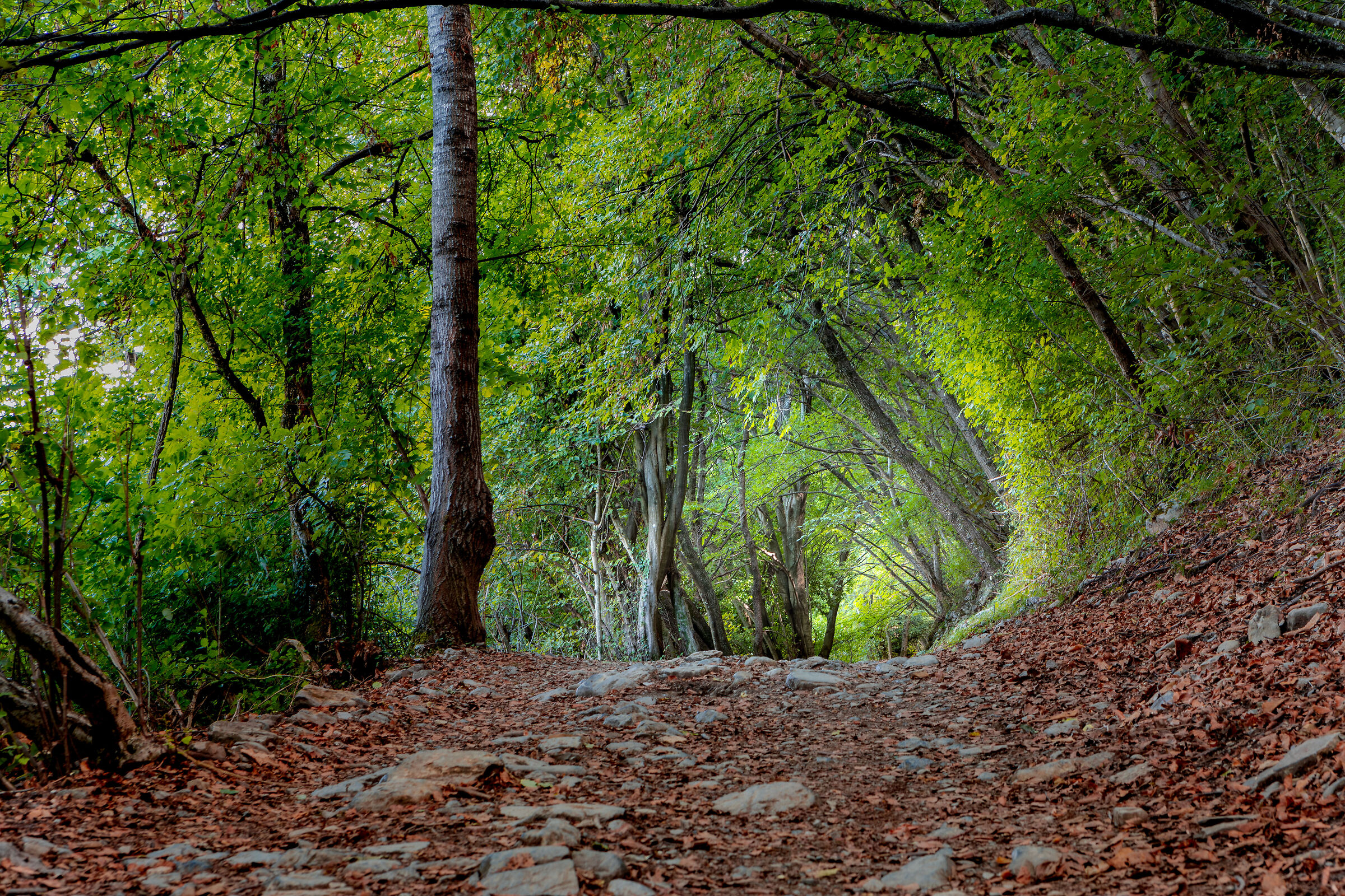 The light at the end of the tunnel
