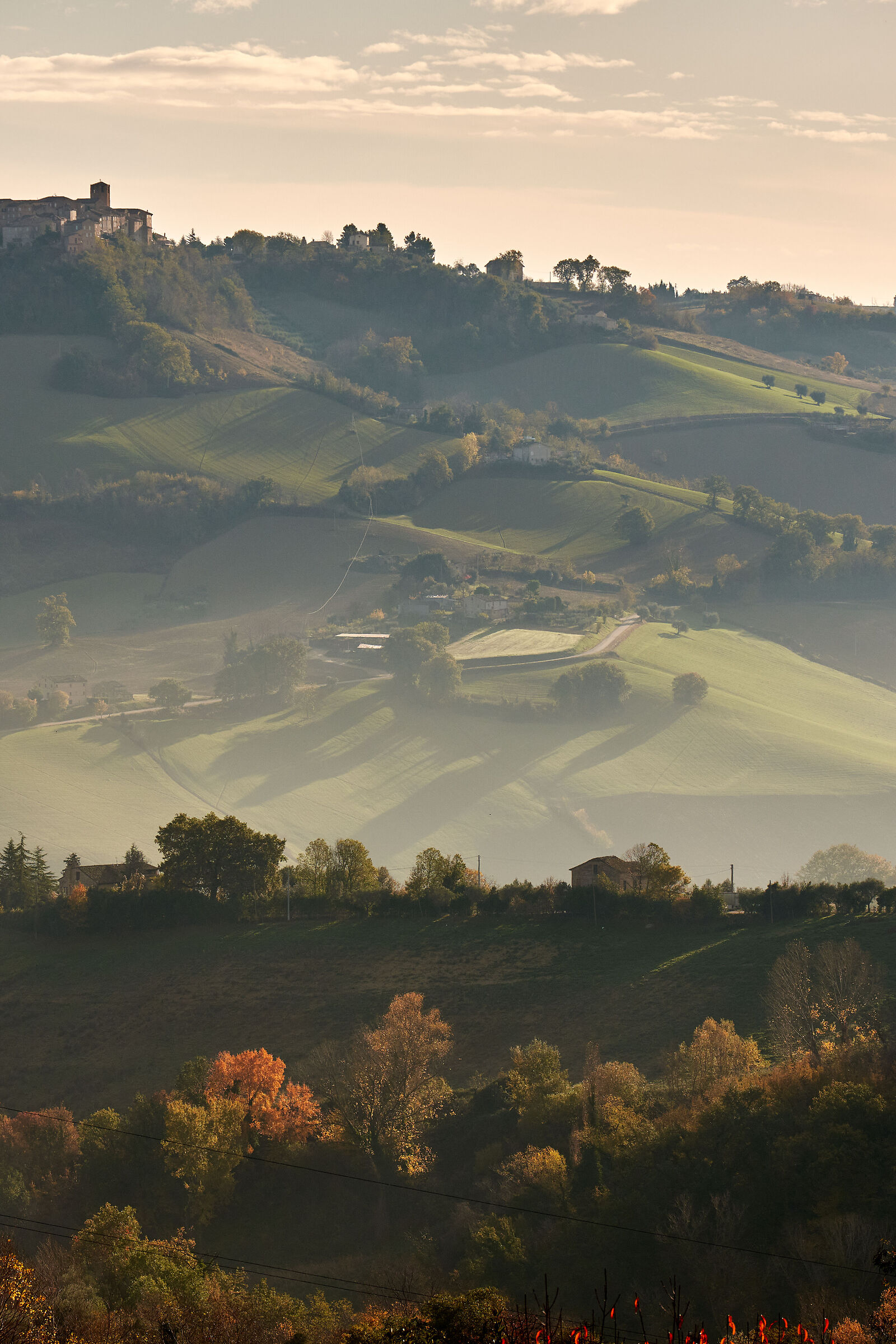 Countryside in Fermo