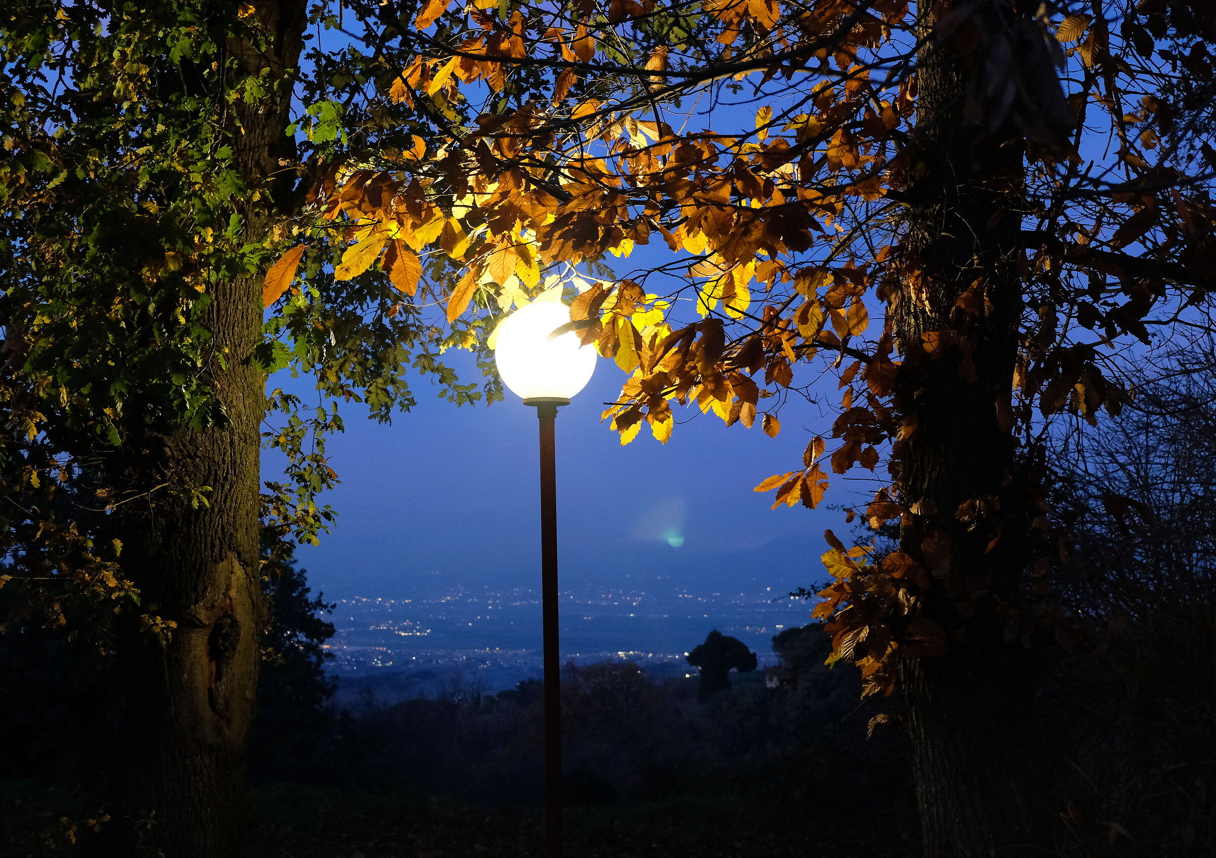 ...giù a valle, Roma...