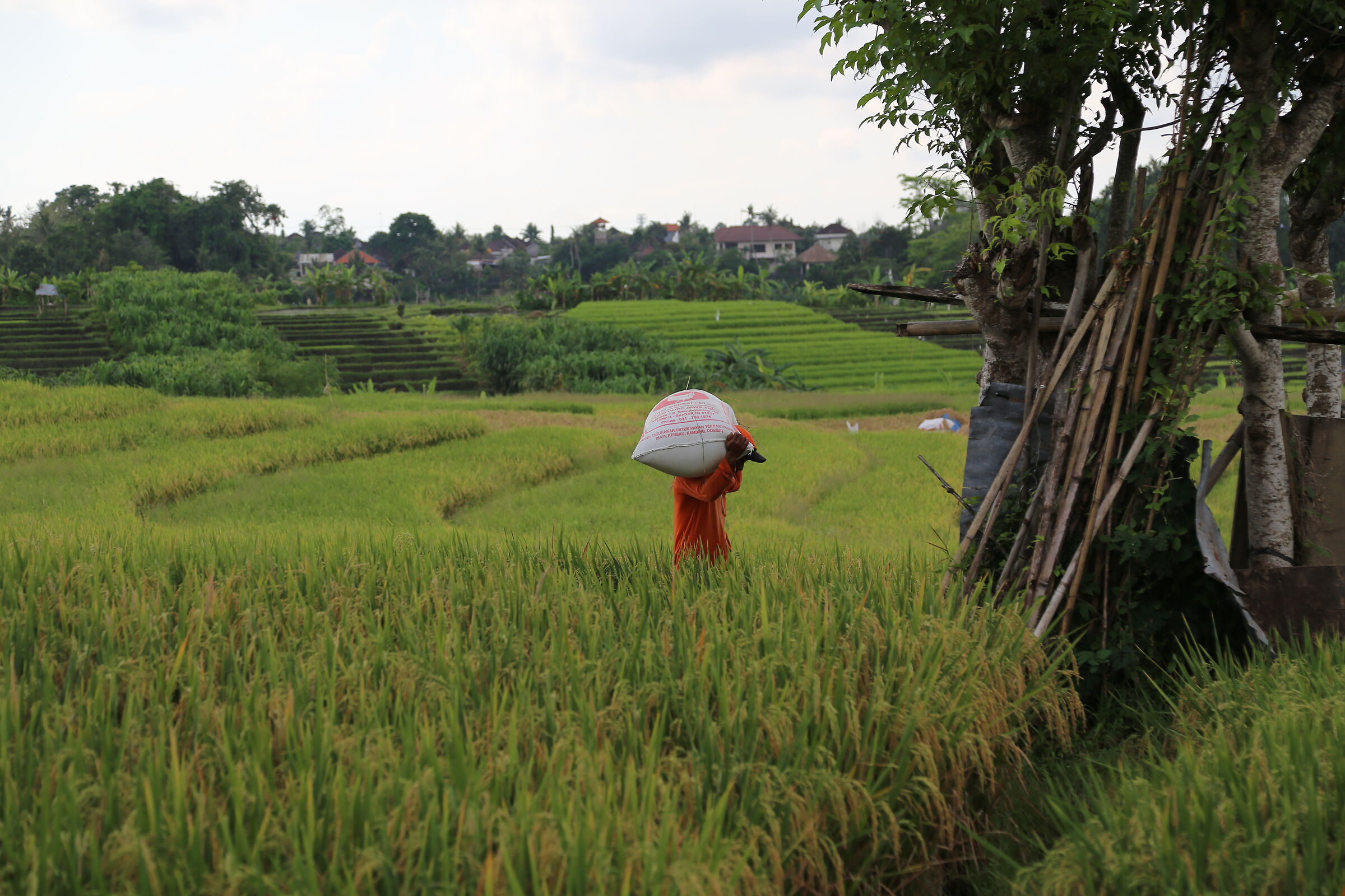 farmer
