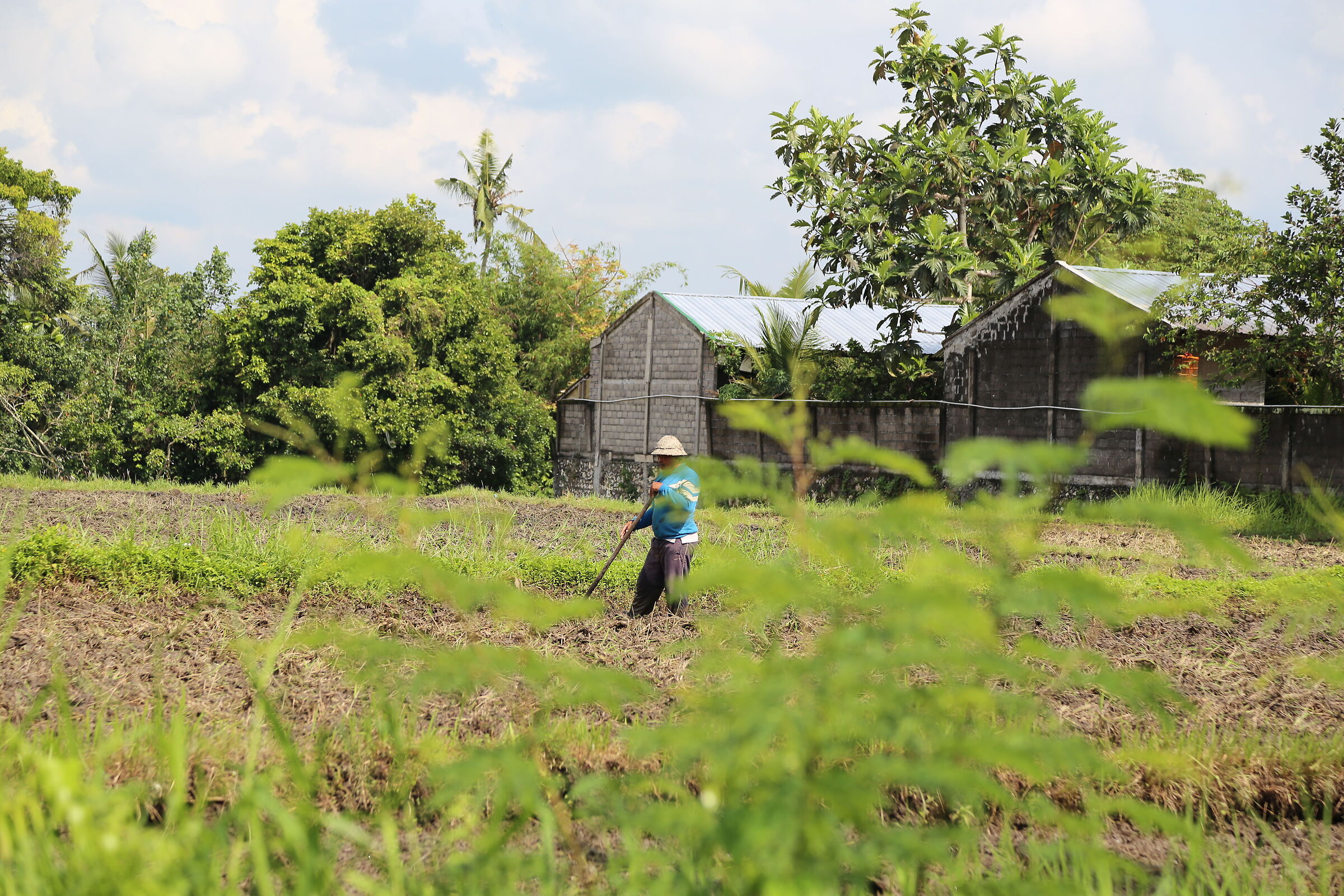 farmer