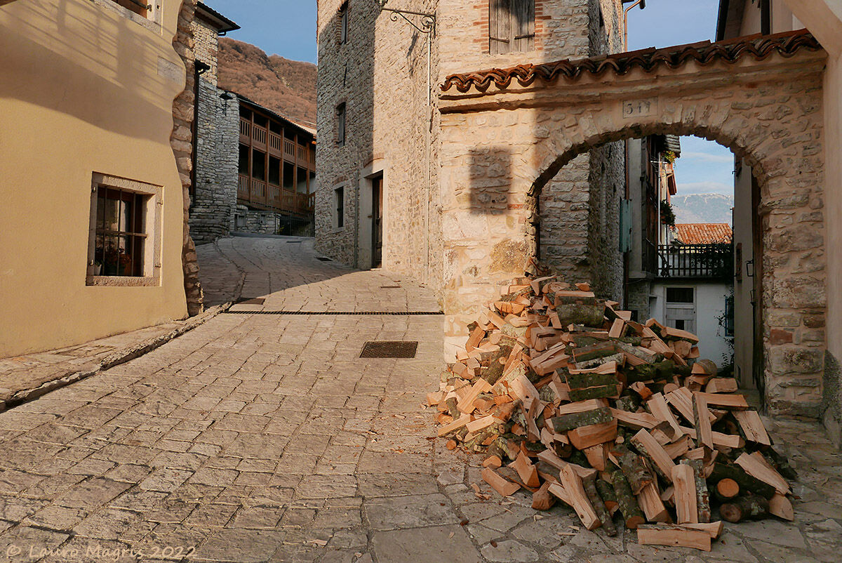 Cercasi volontari trasportatori