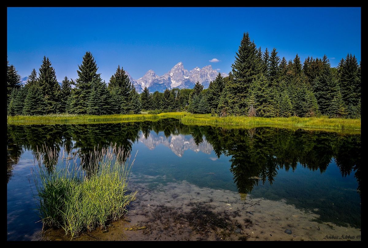 Schwabachers landing