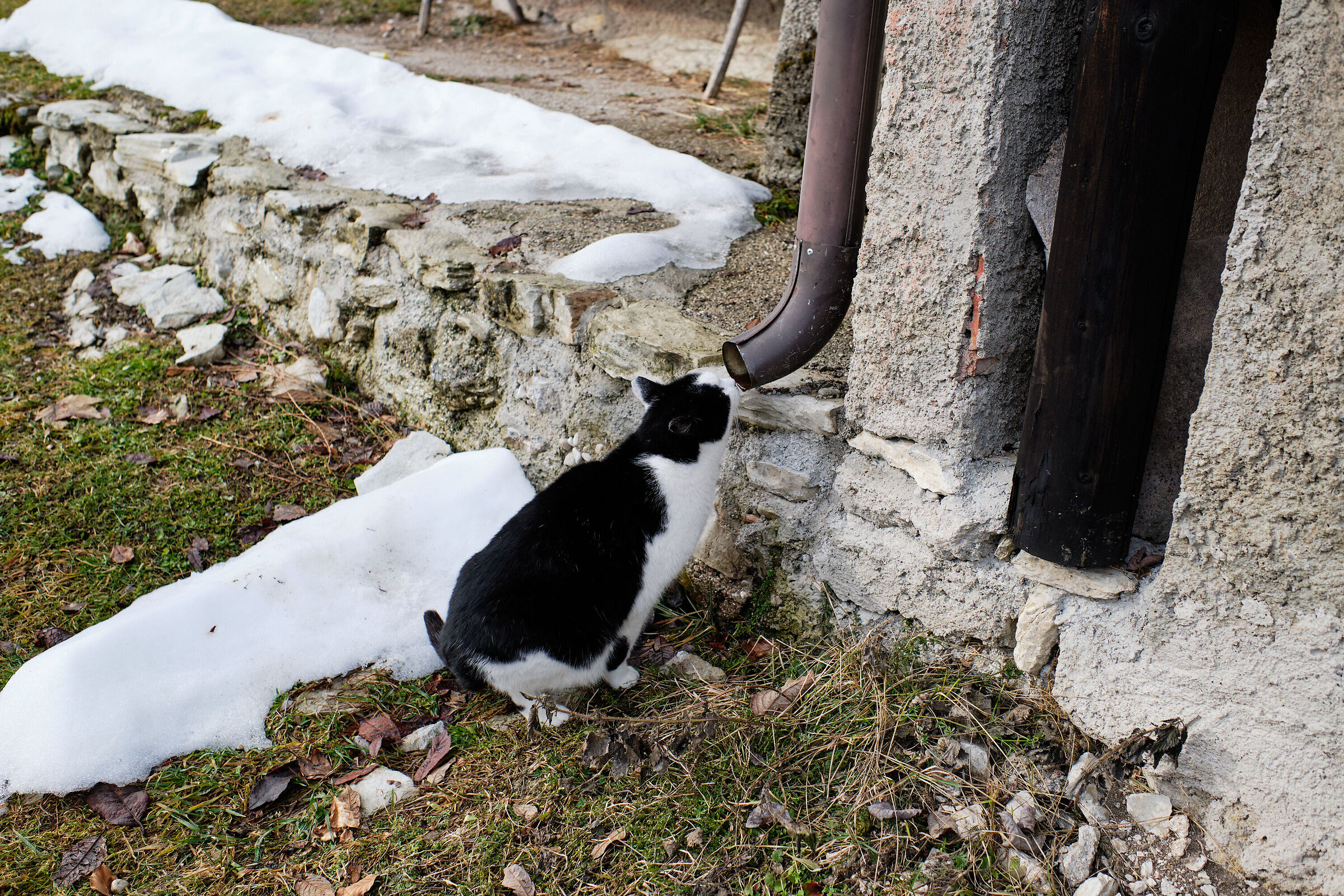 Distributore automatico!!