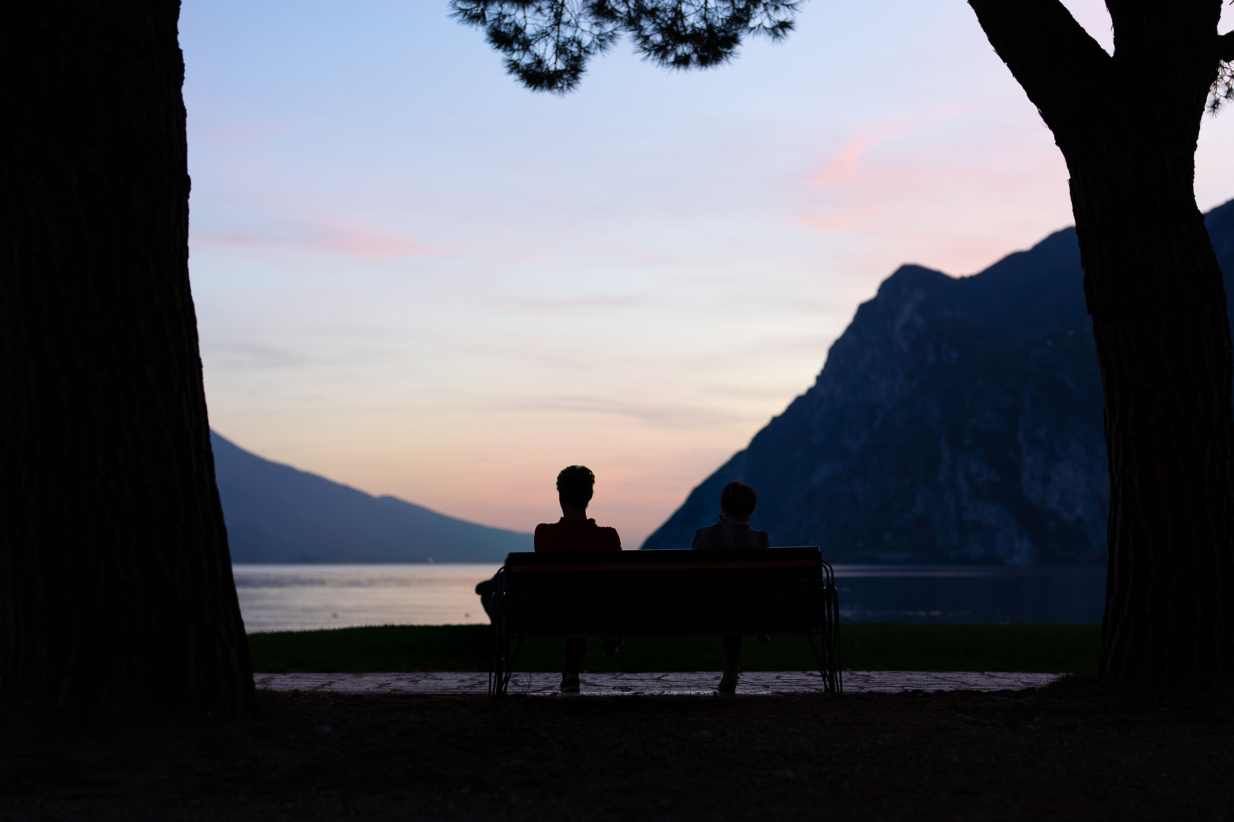Contemplare