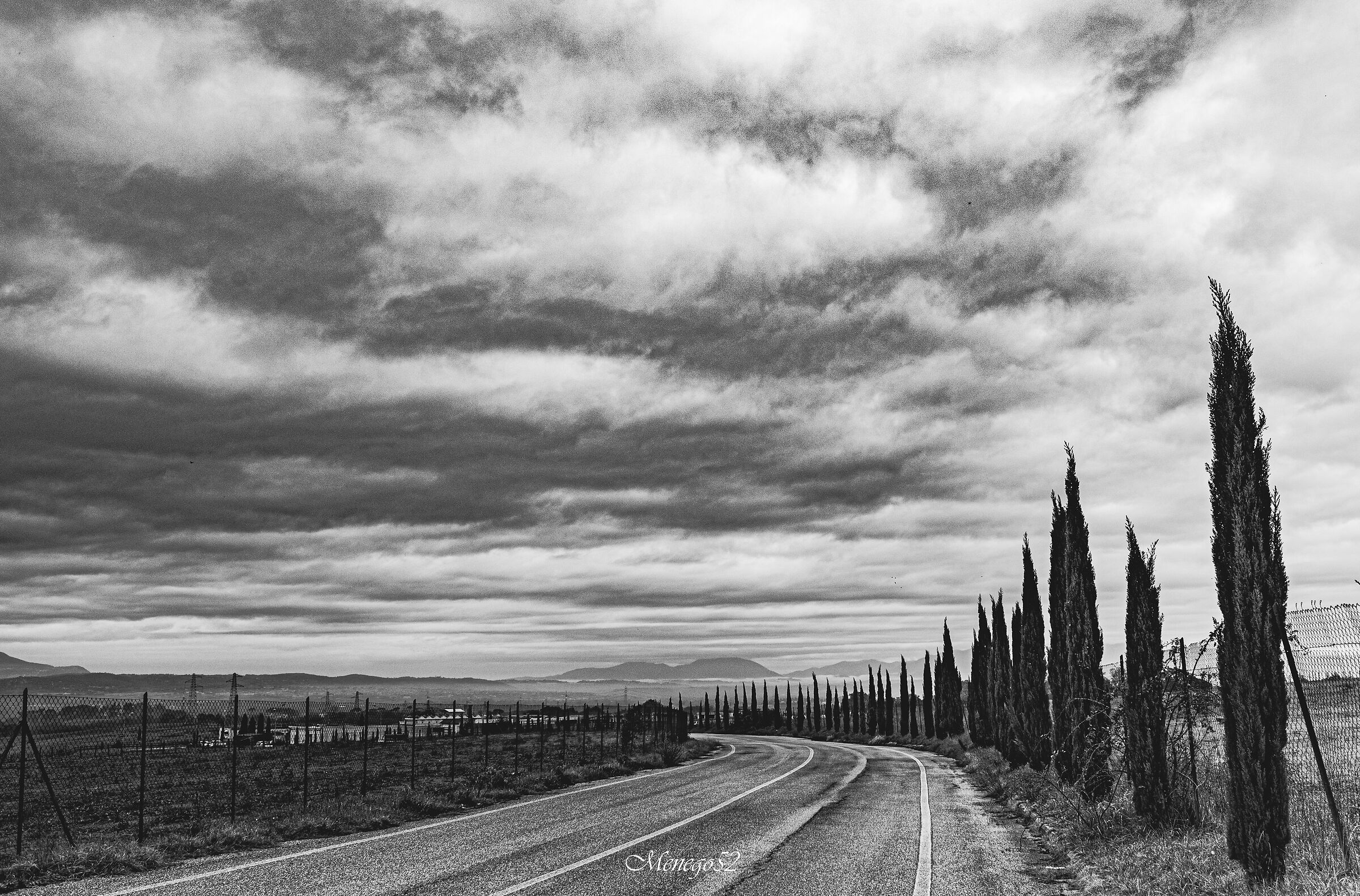 viale degli alberi pizzuti... a monterotondo