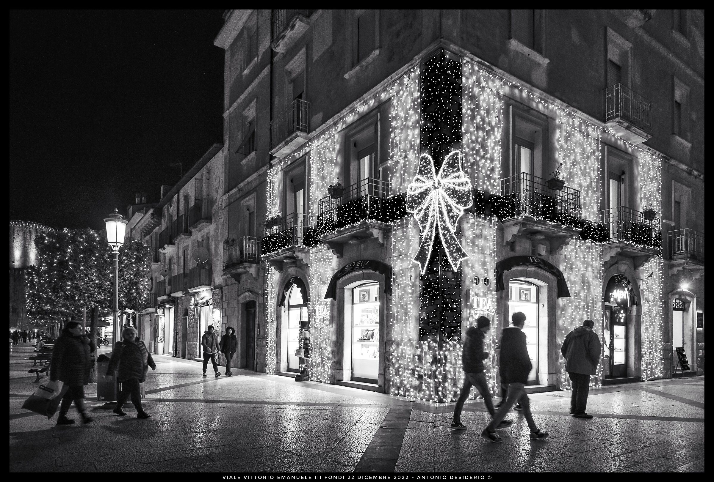 Among the lights....