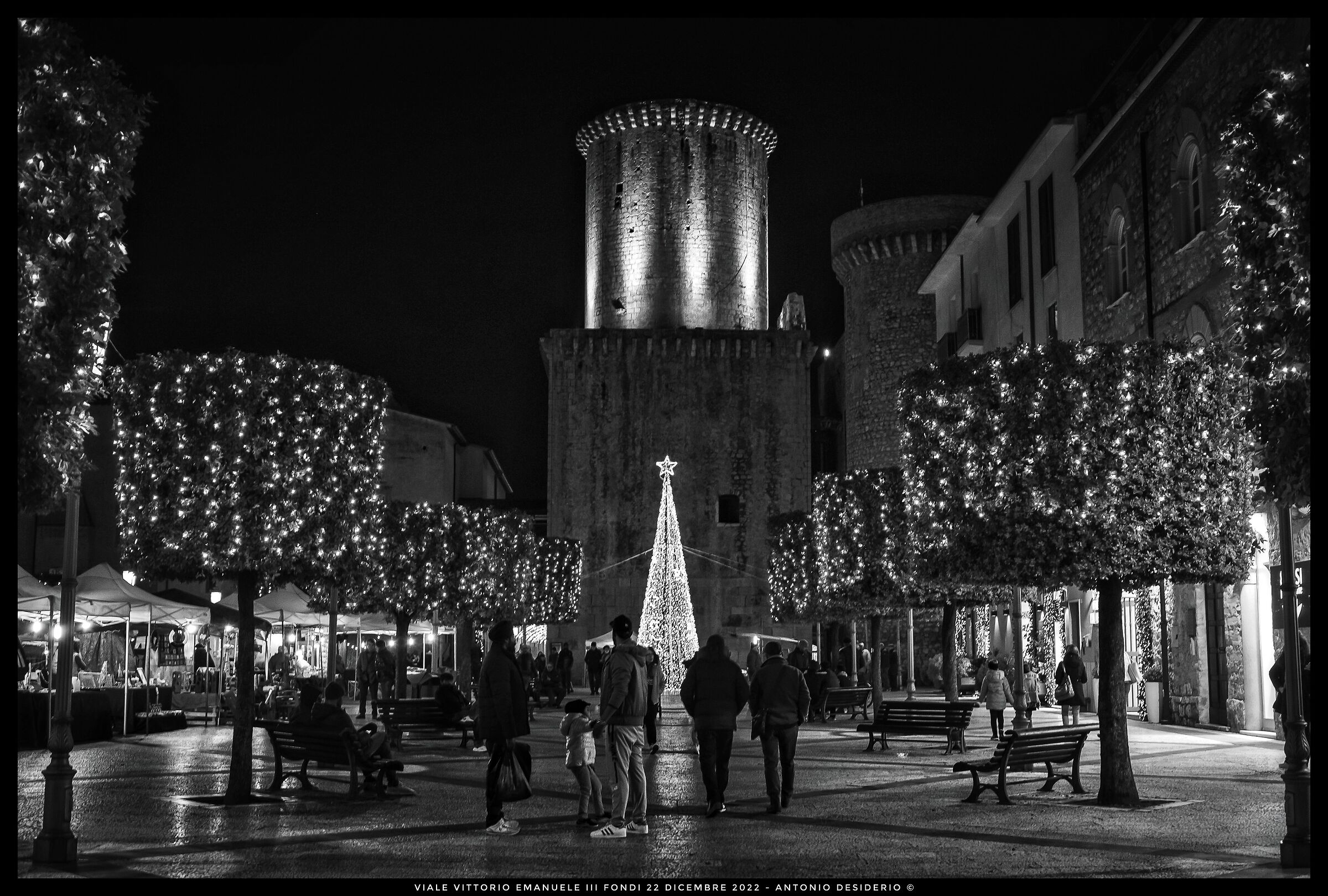 Among the lights....