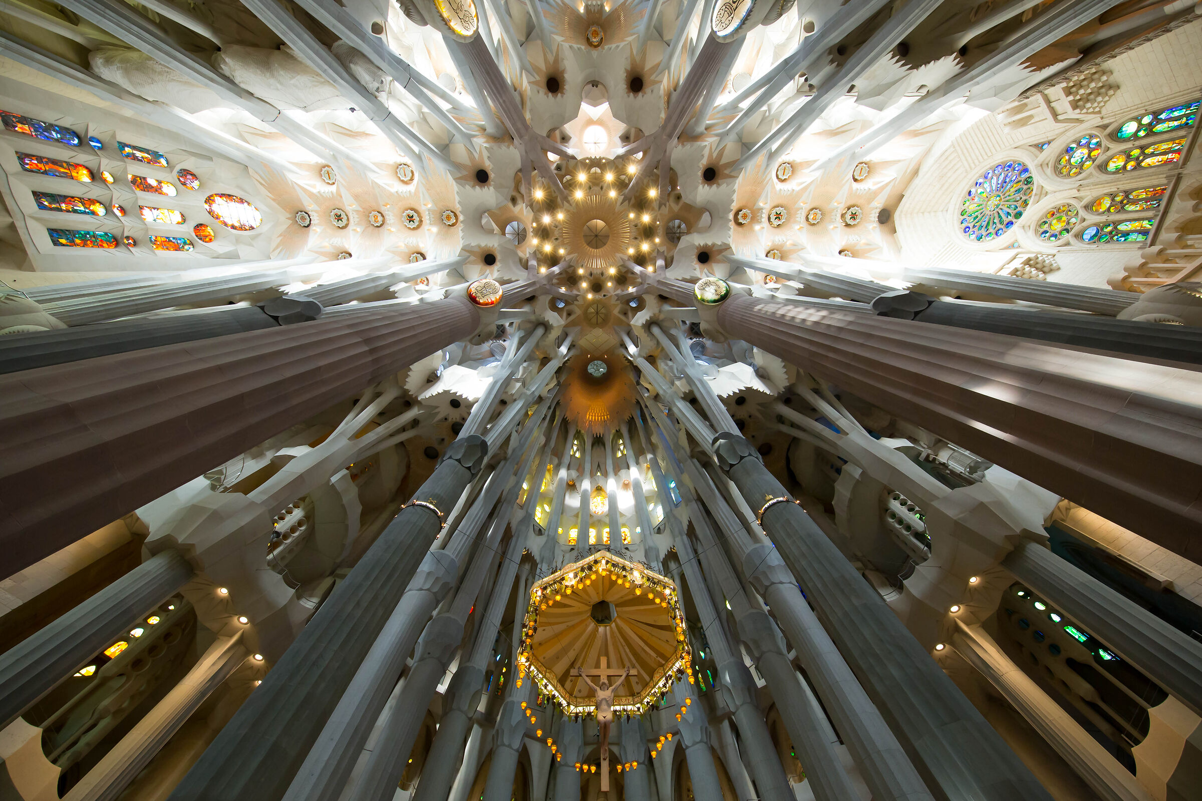 The house of the main