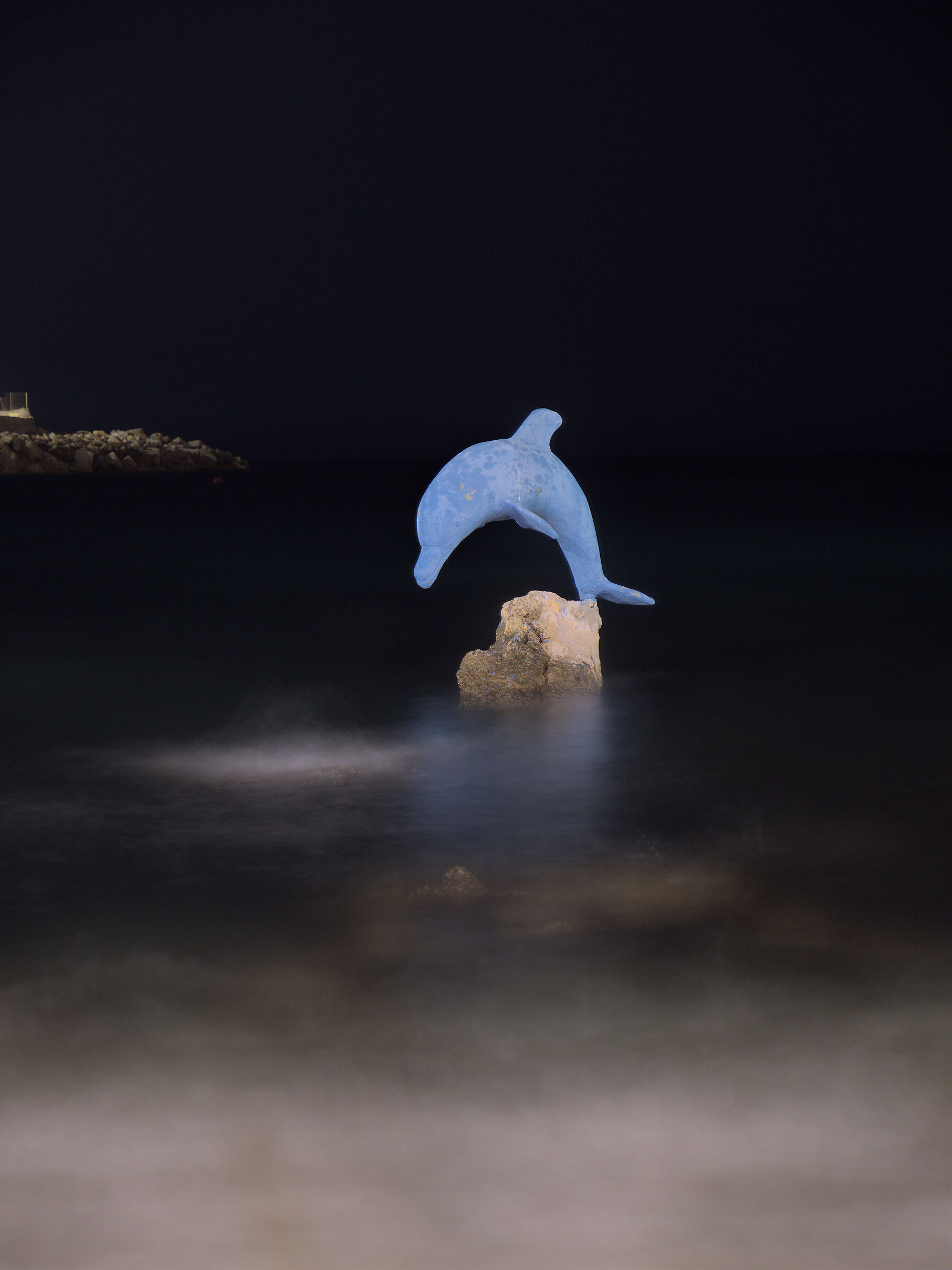 Delfino vaporoso