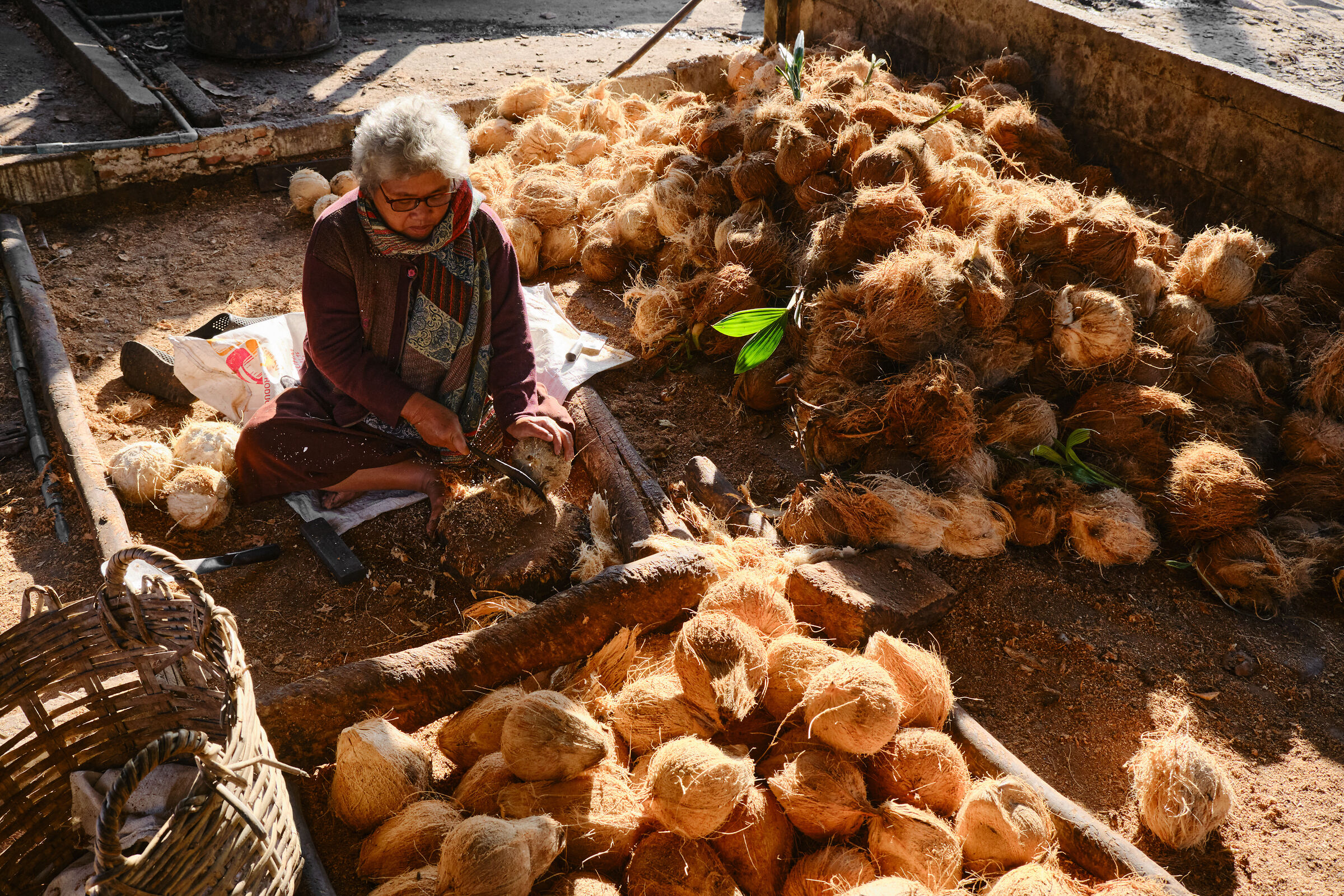 L'anziana lavoratrice di cocchi