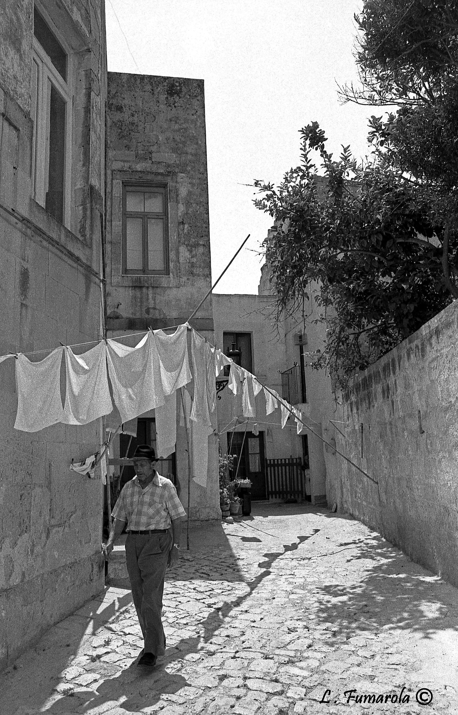 Otranto 1979