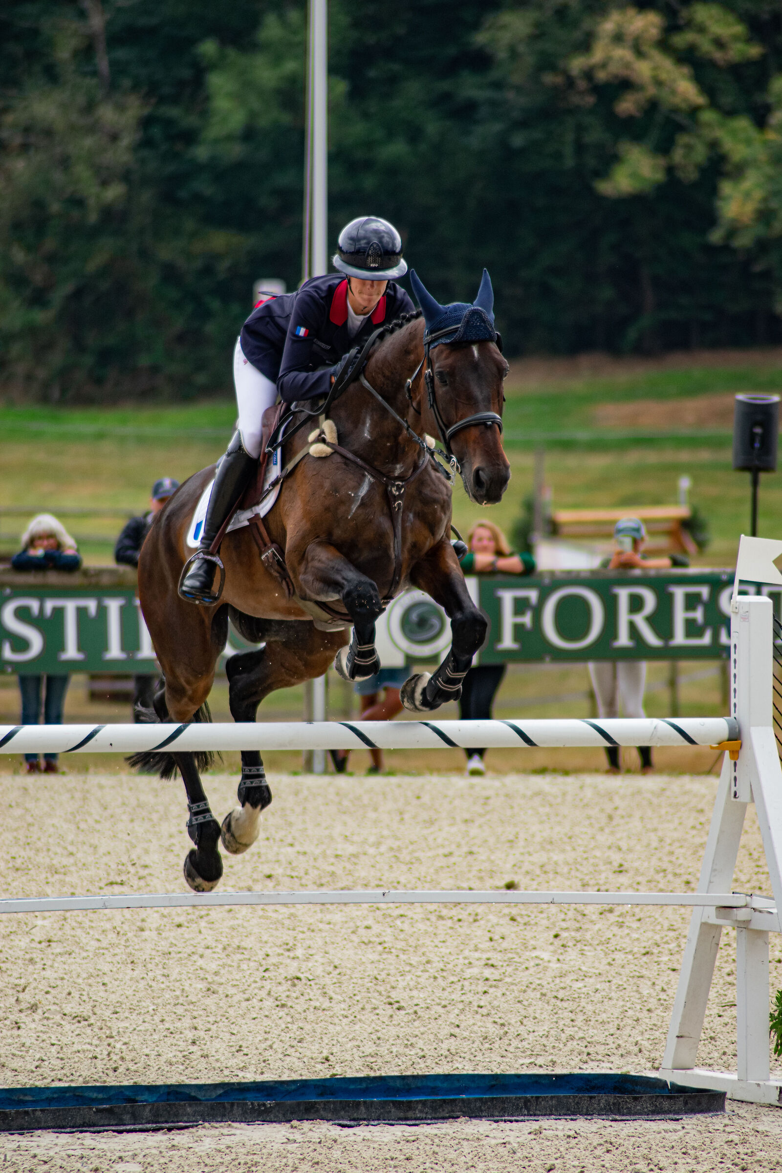 Complete race at the haras du pen