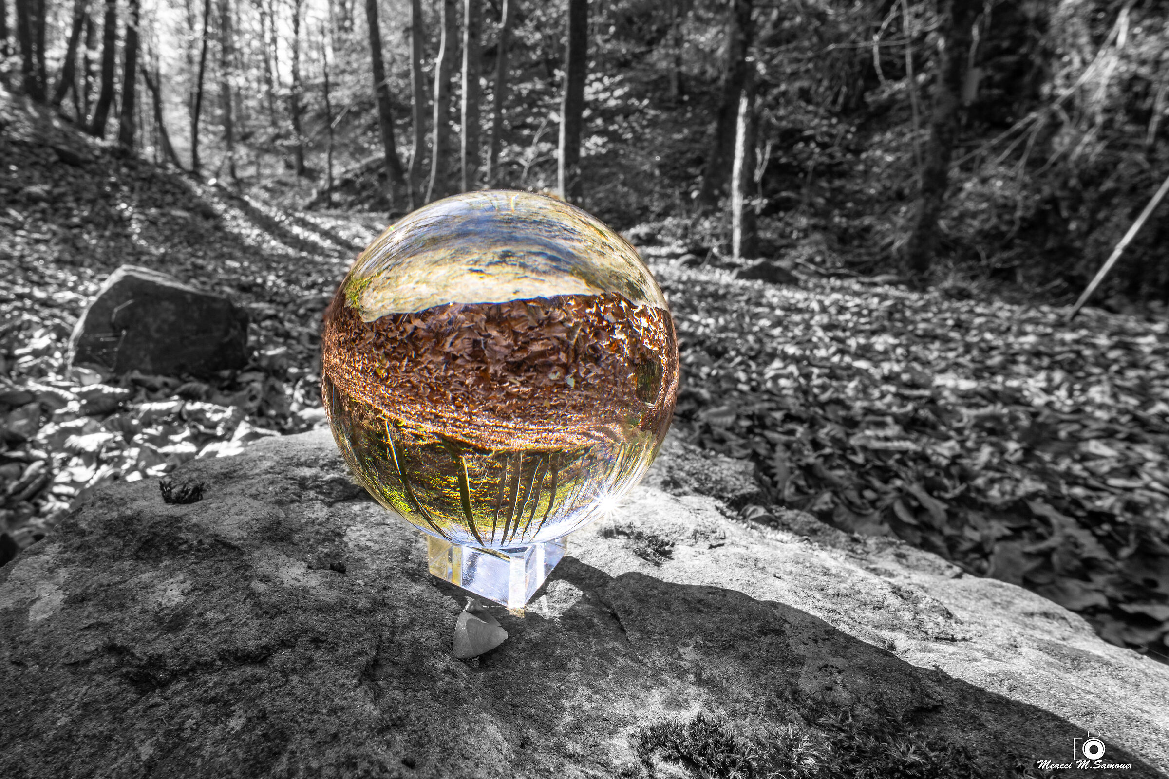 Bosco dell'Acquerino