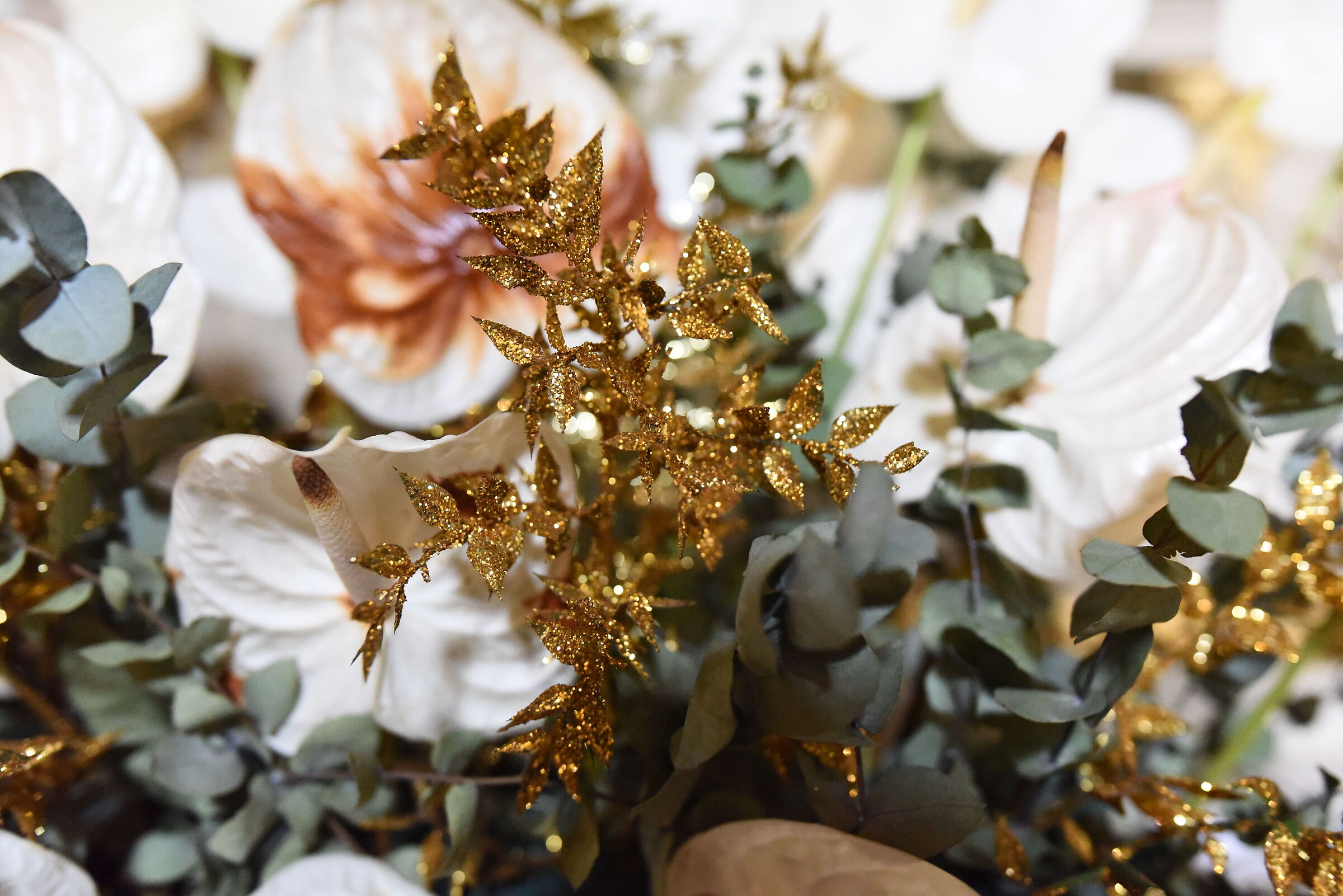 " ISO 12. 8 0 0 ", F. 2.4, 1/ 250- Sigma 28, 1.4 A...