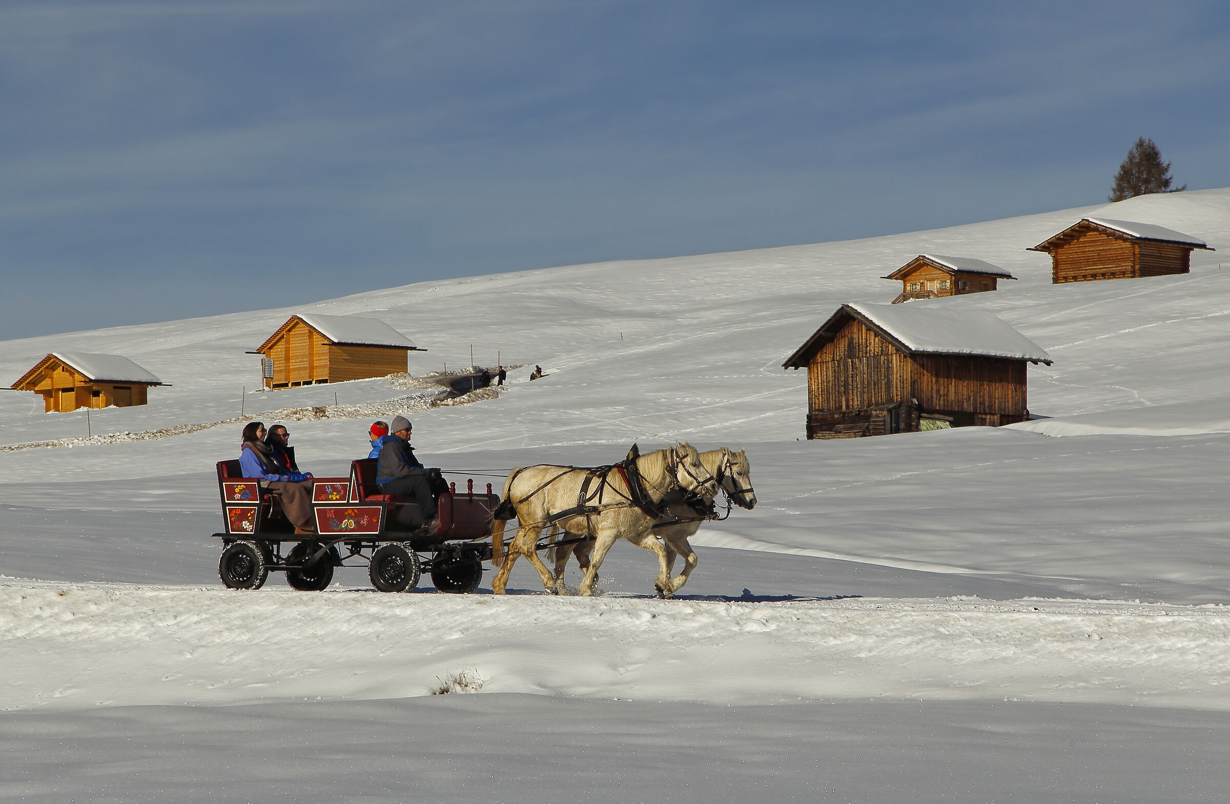Christmas on the Alpe di Siusi