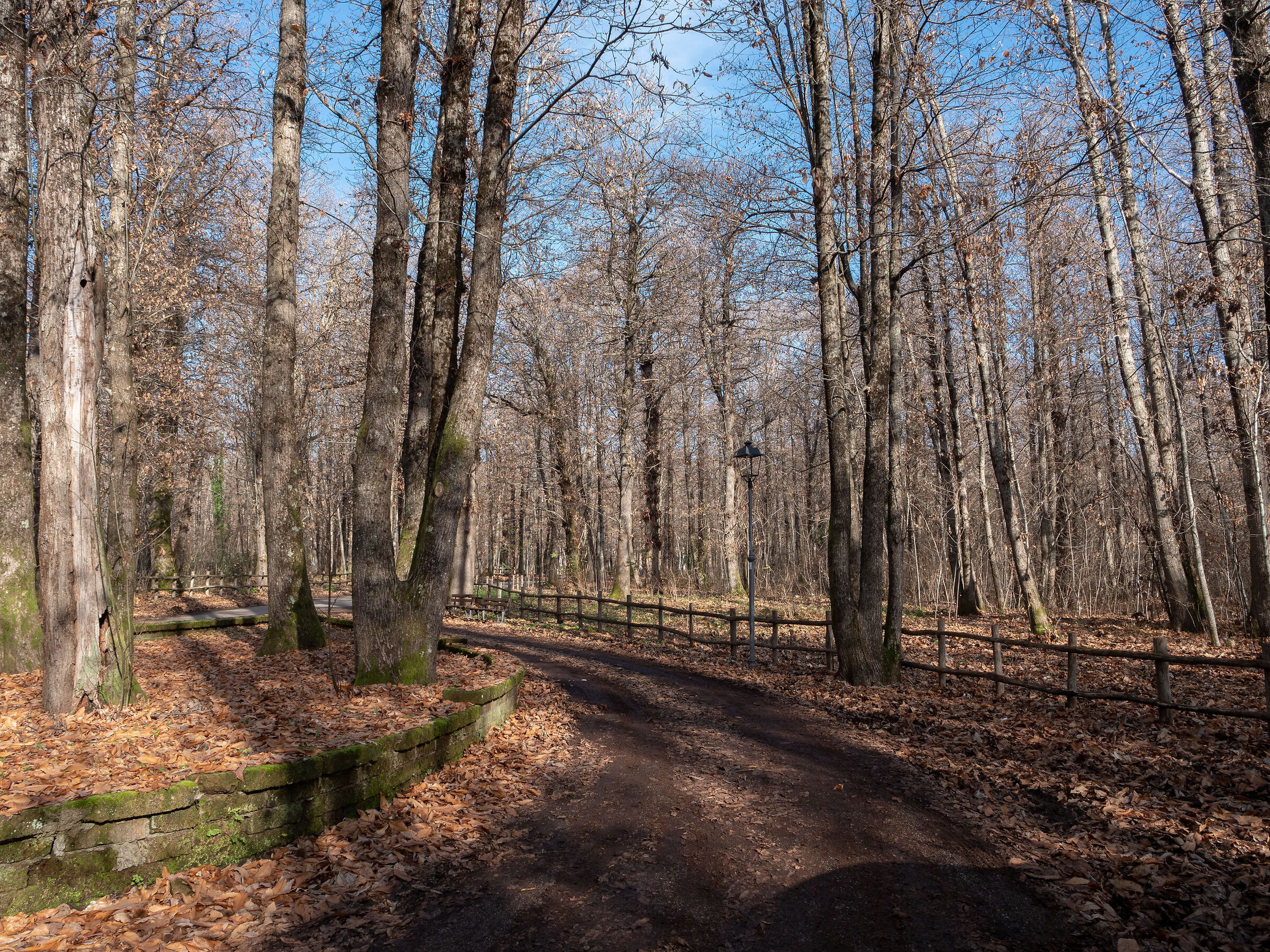 Bosco di Fiuggi