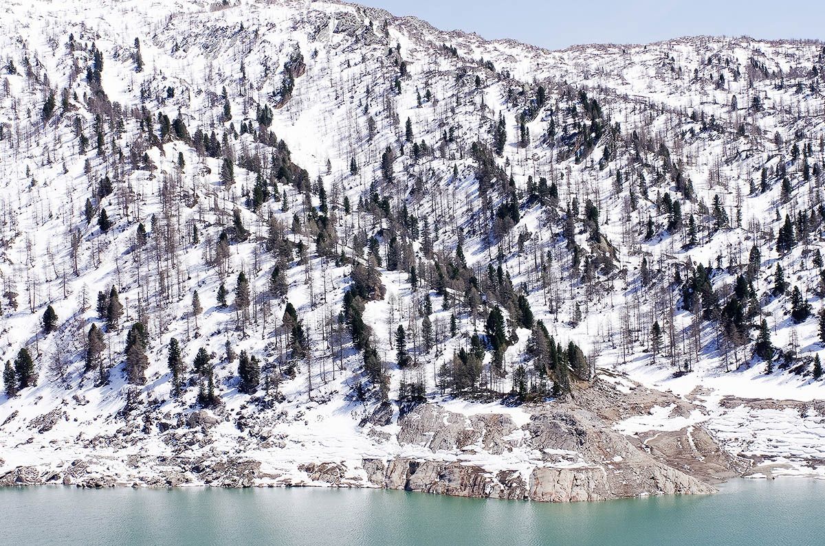 Il bosco sopra il lago Ritom