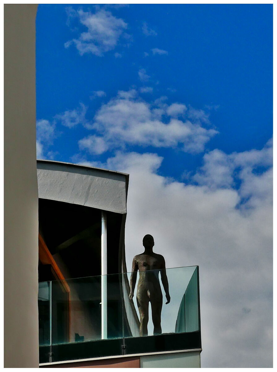 The exhibitionist ....