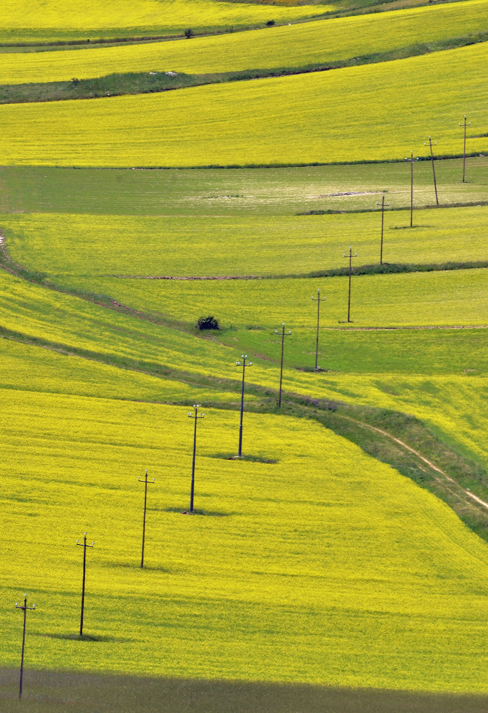 Castelluccio diNorcia