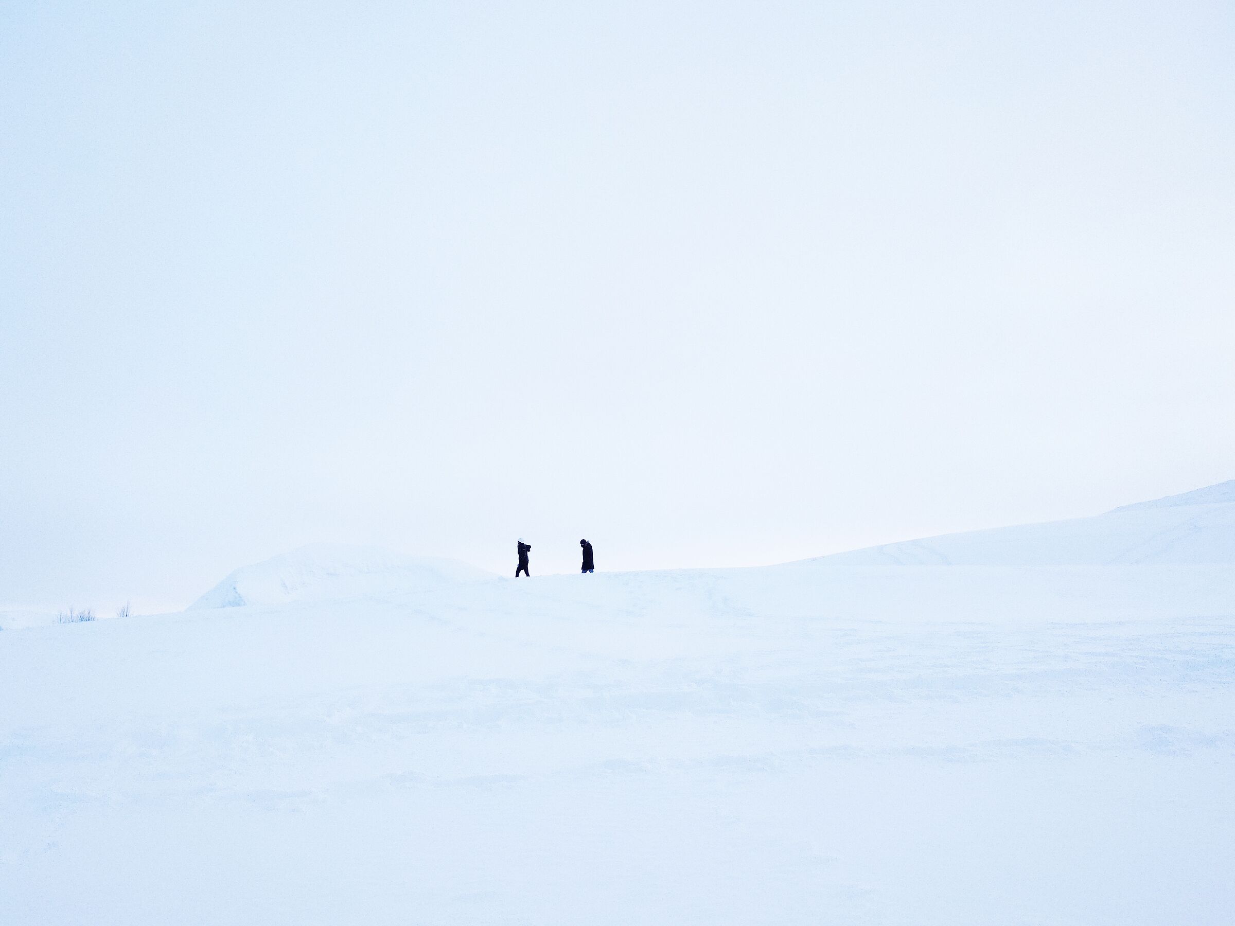 Into the White