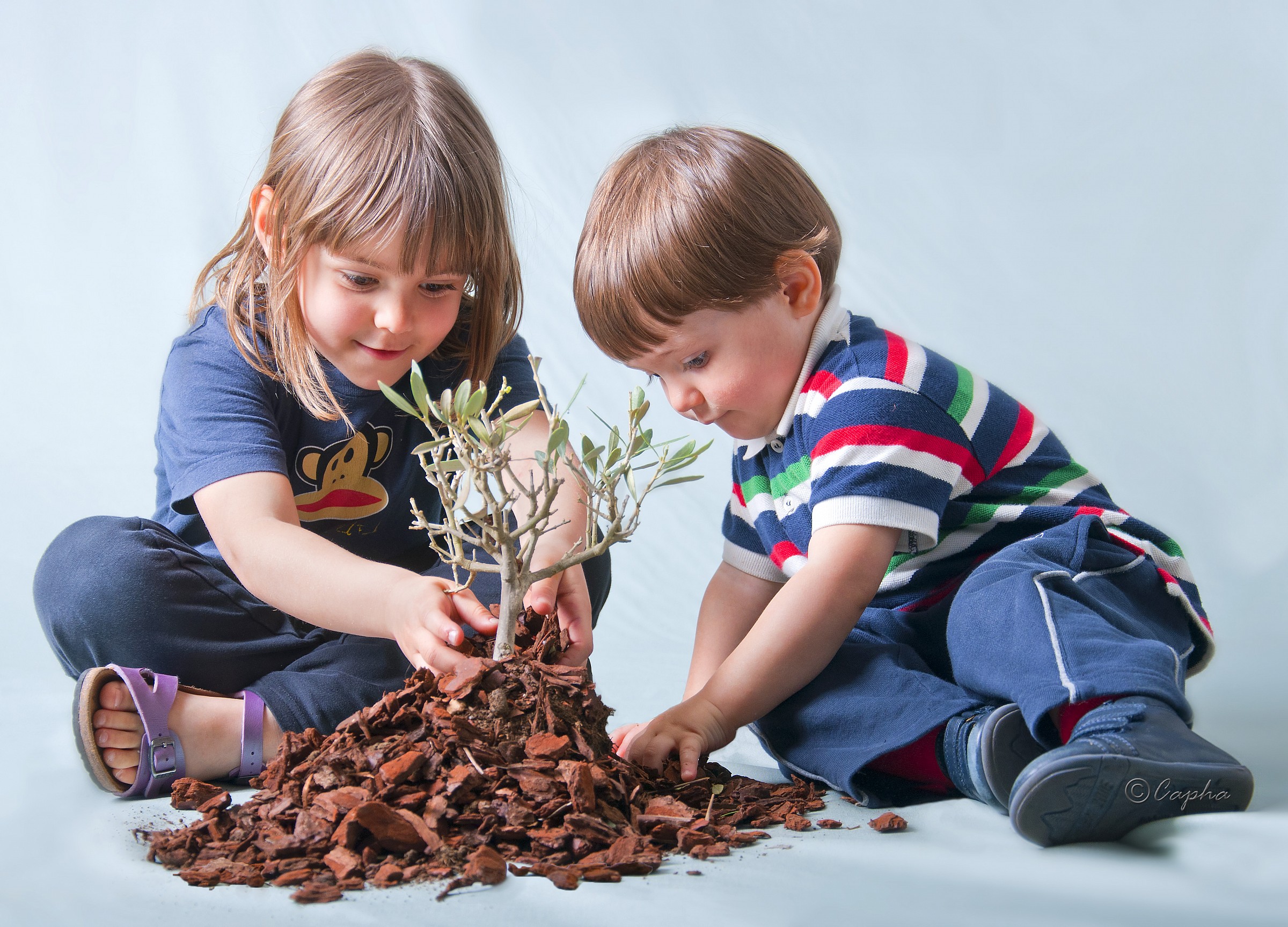 ground upholster a small green plant, hoping to ...