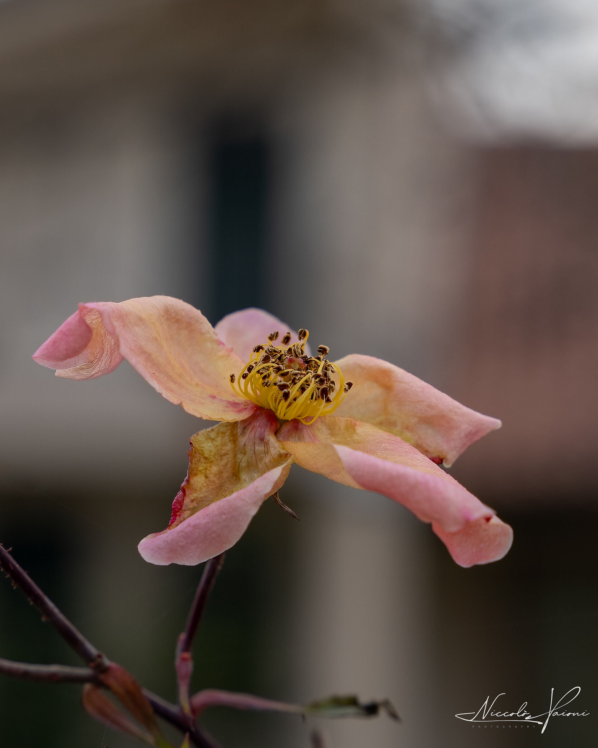 Untitled Photo