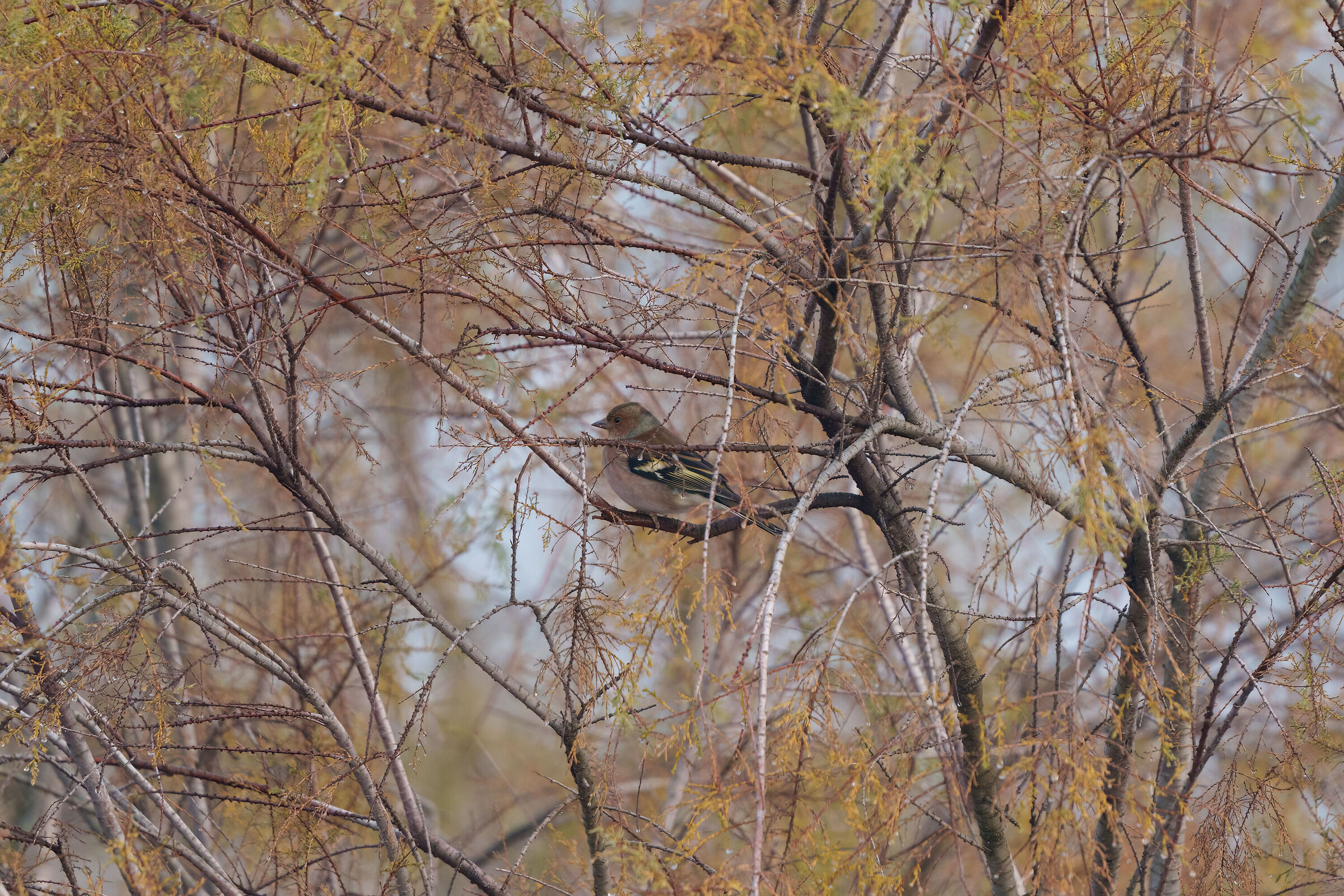 Untitled Photo