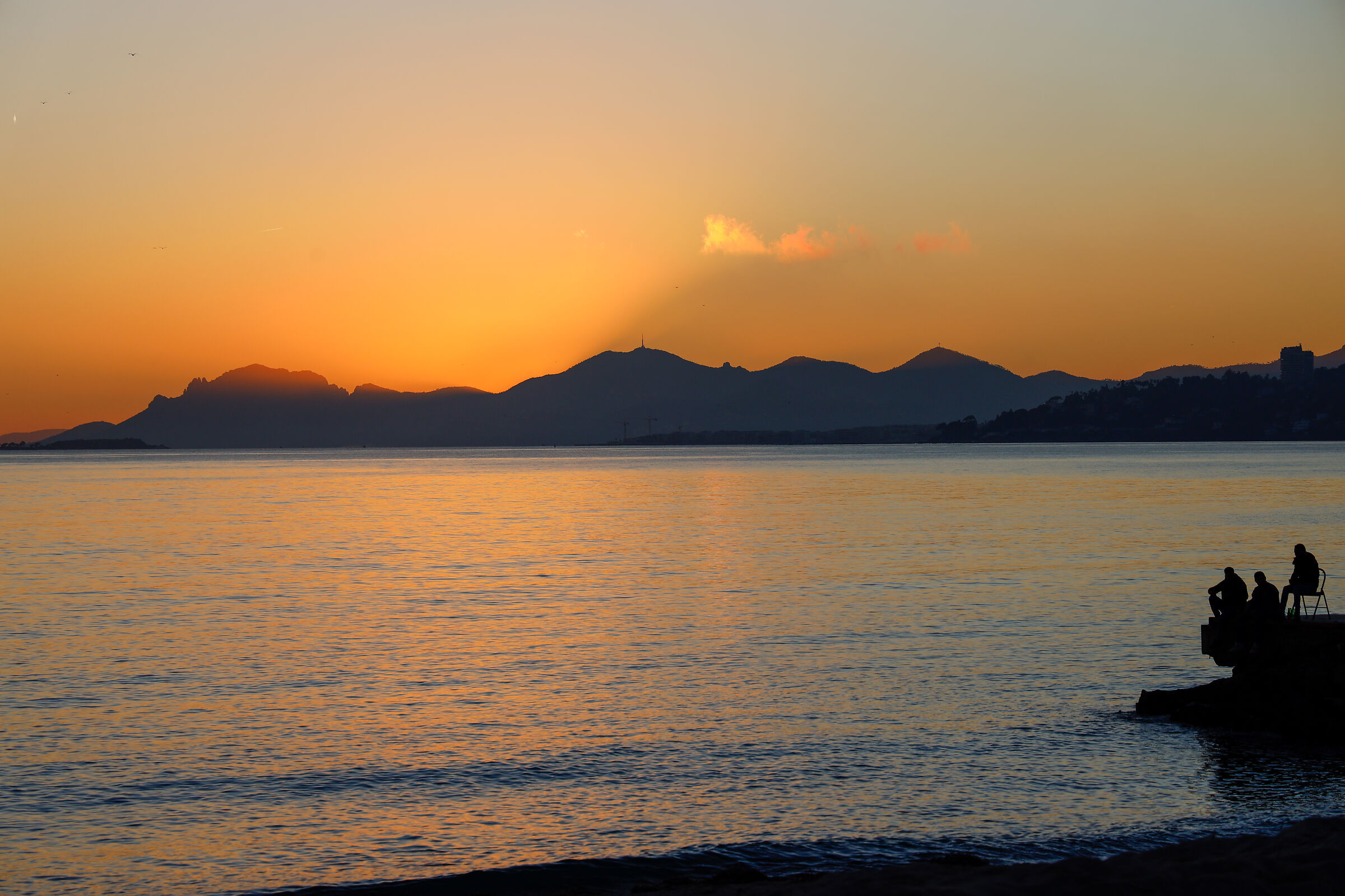 Ammirare lo spettacolo