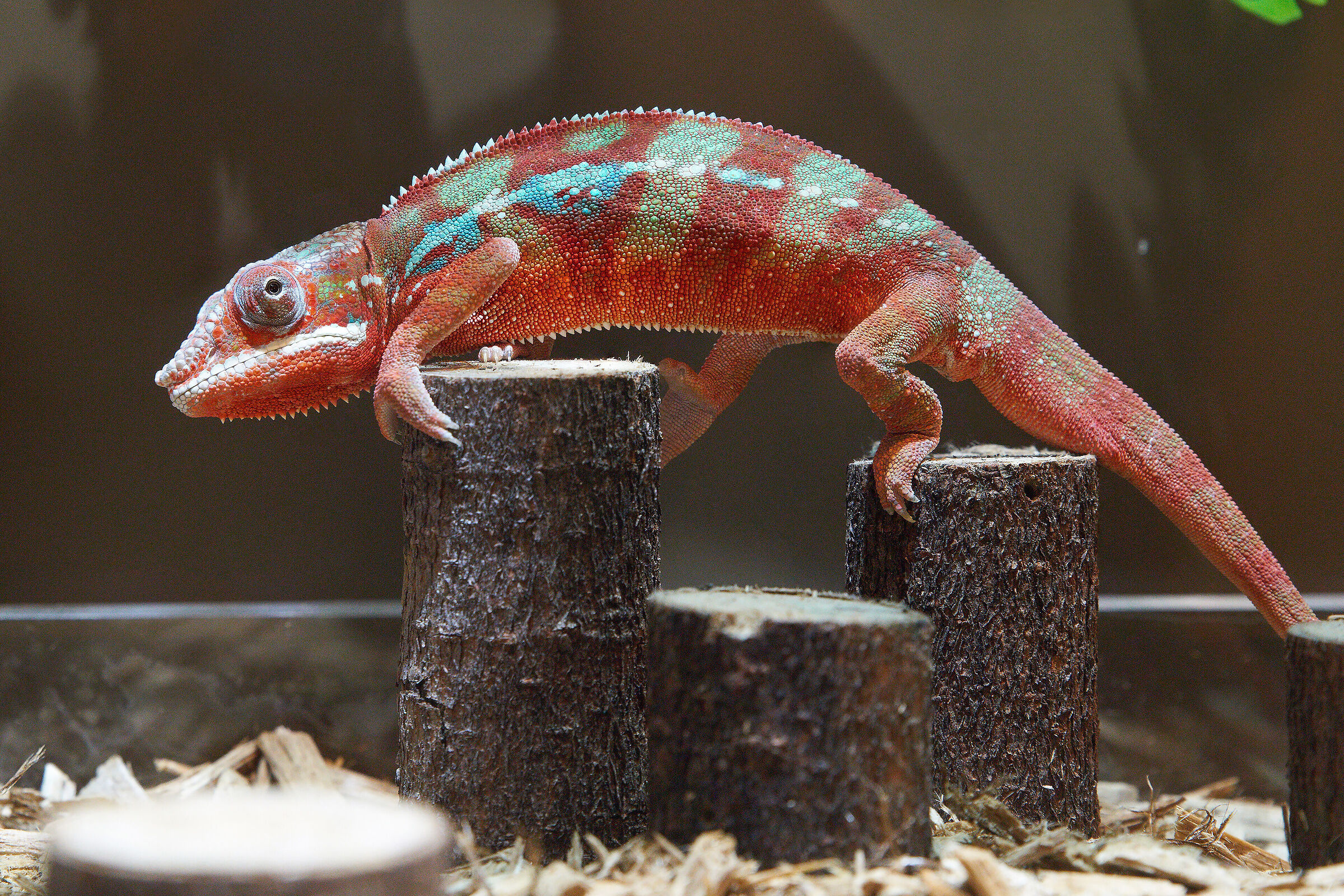 Impossibile nascondere