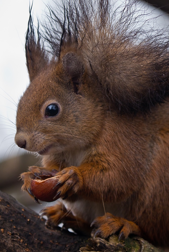 Finita ..... posso averne un' altra ?