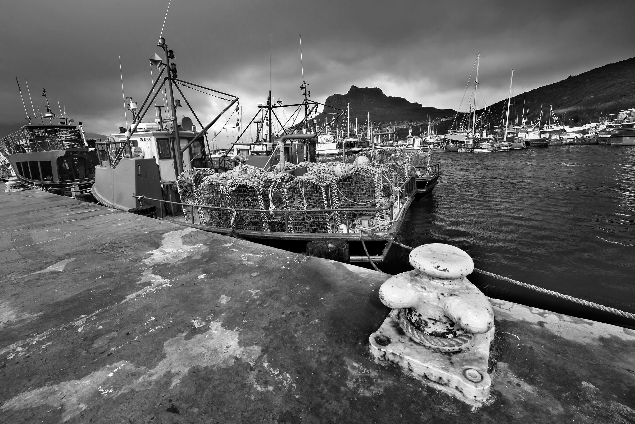 Barche da pesca