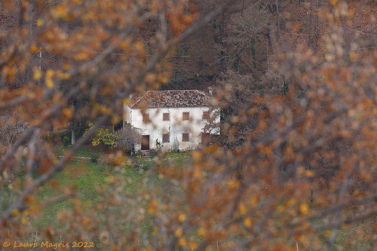 In addition to foliage