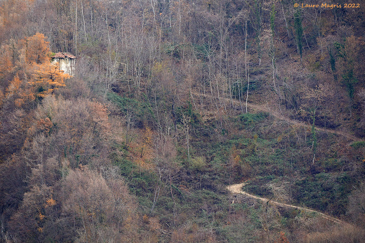 La fine dell'autunno