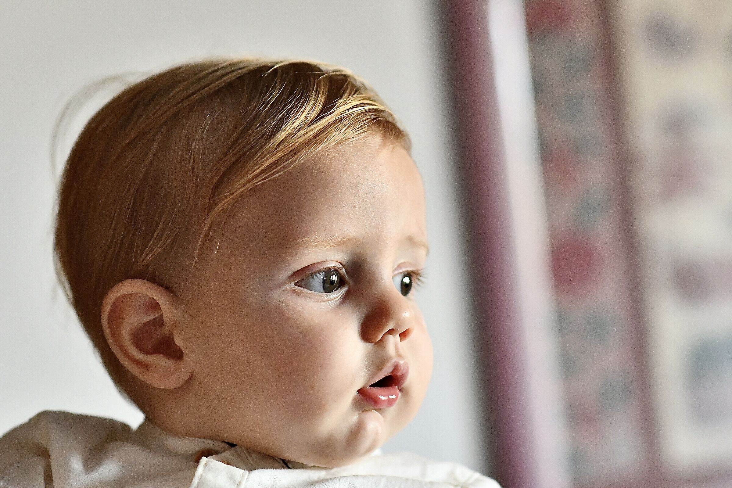 " The Great Beauty "