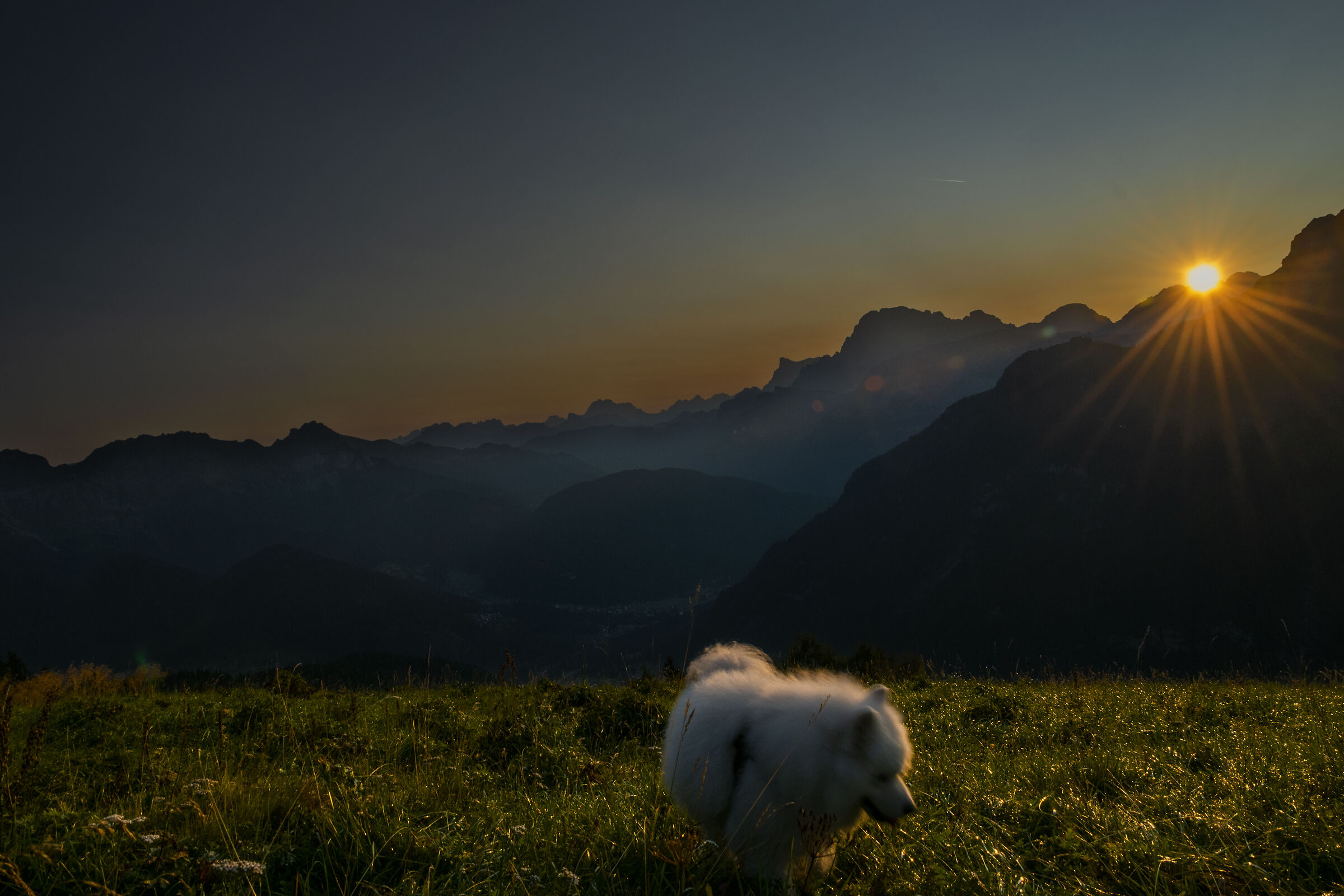 The first light
