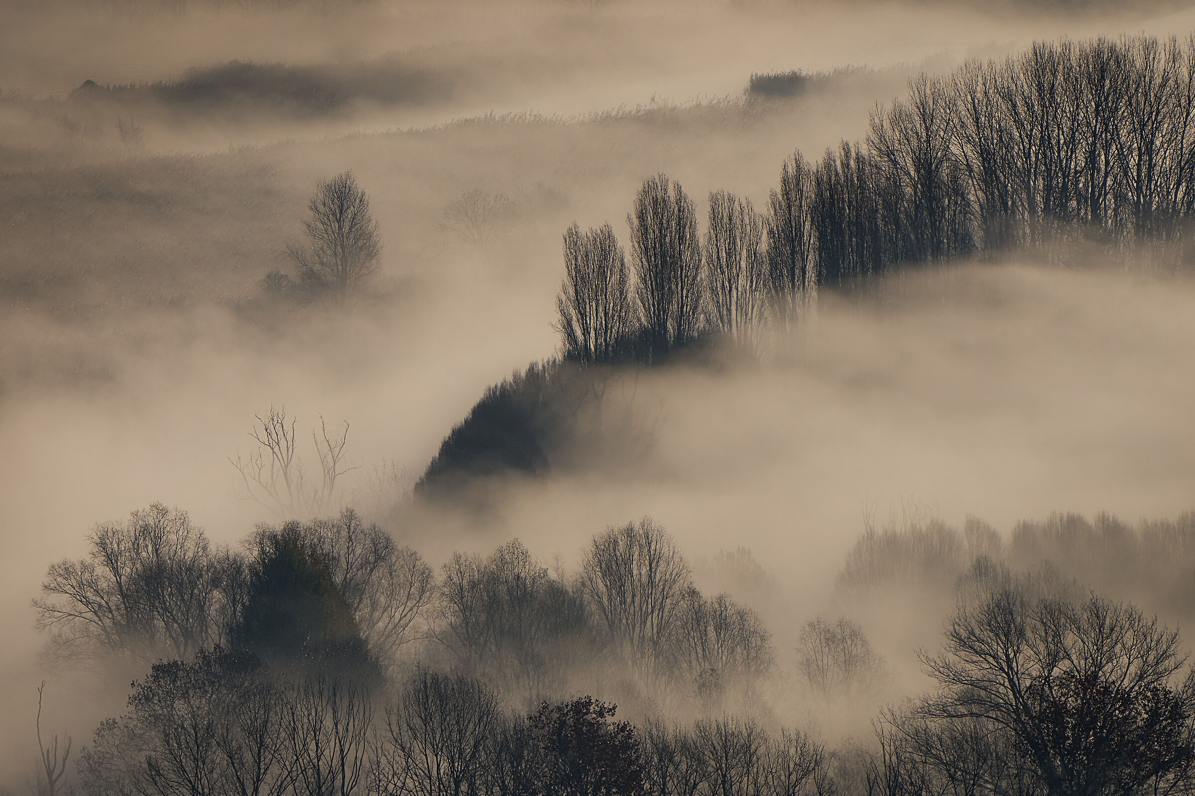Nebbia sul fiume Adda