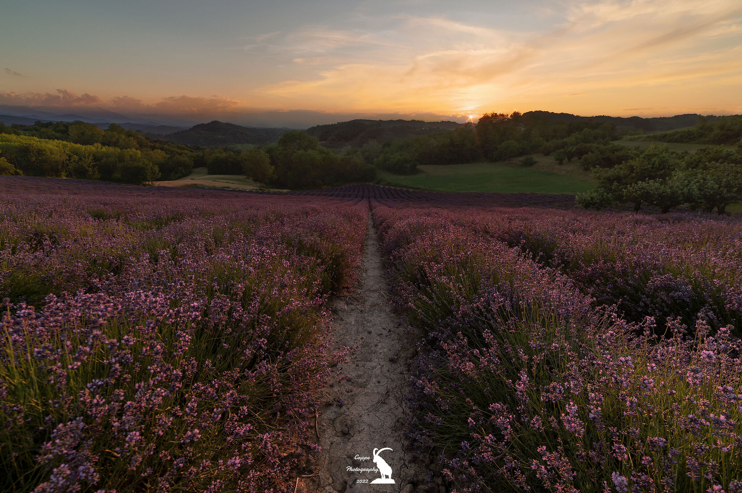 Un tramonto molto profumato