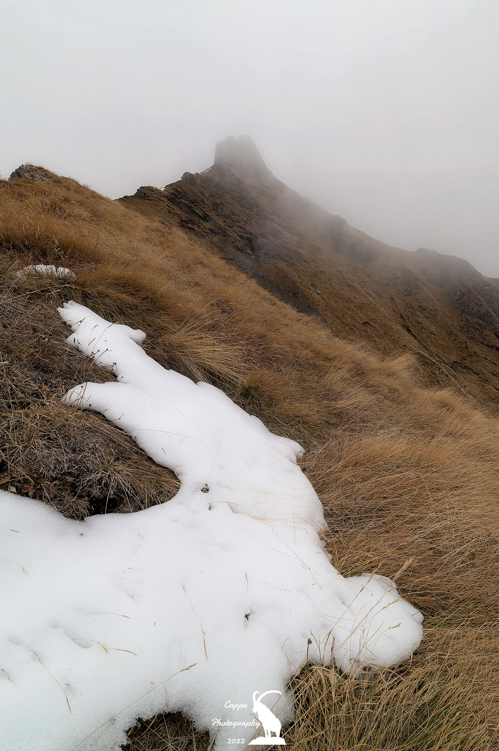 Con la testa fra le nuvole