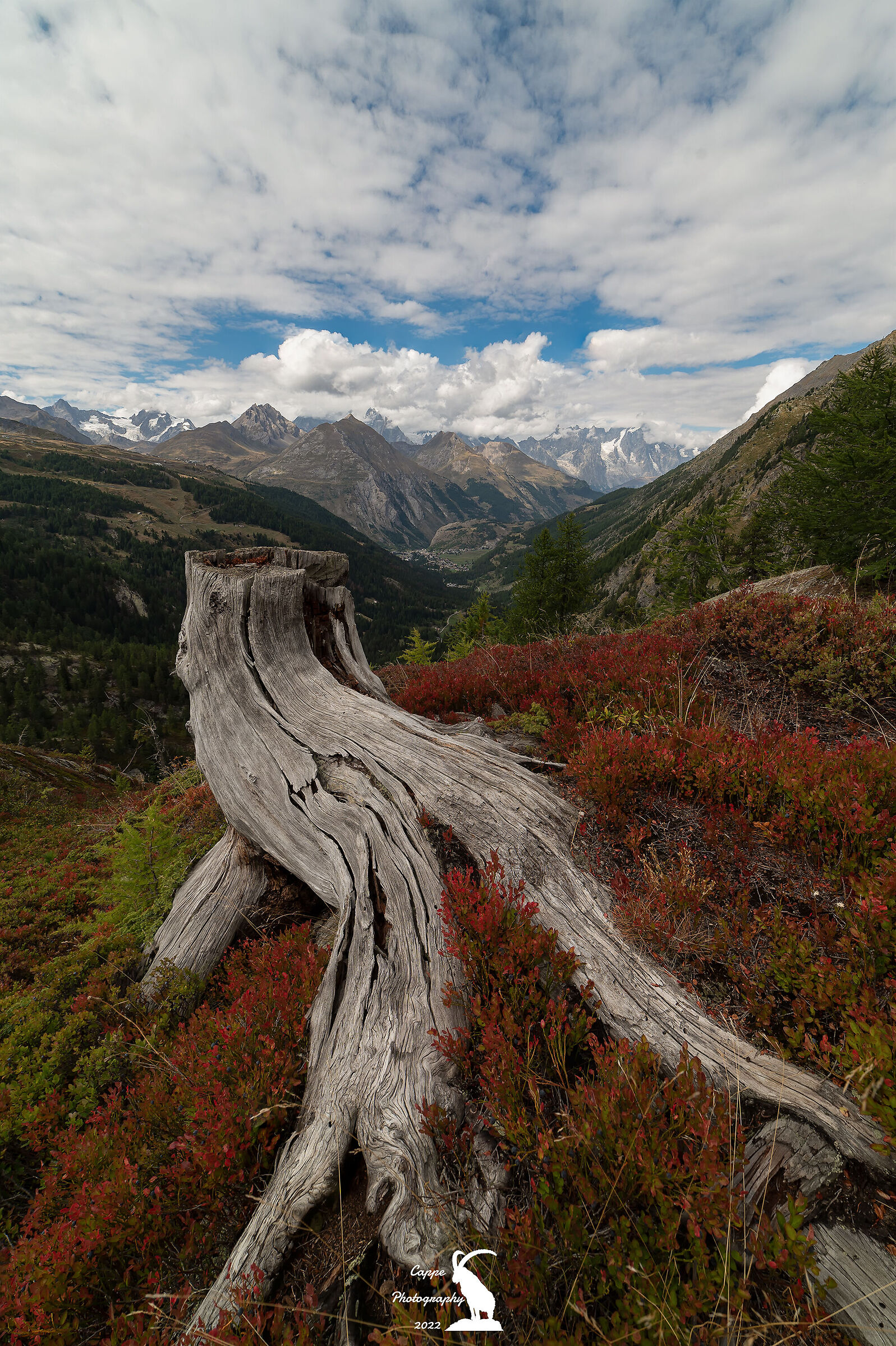 Quadretto di settembre