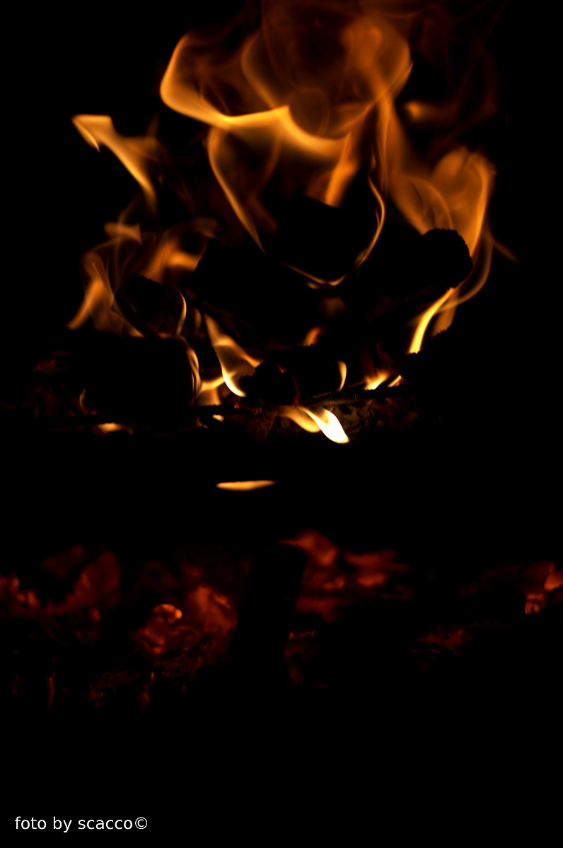 4 amazing burgers flame future