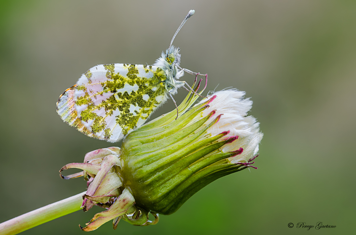 Tutti a bordo si parteeeeee