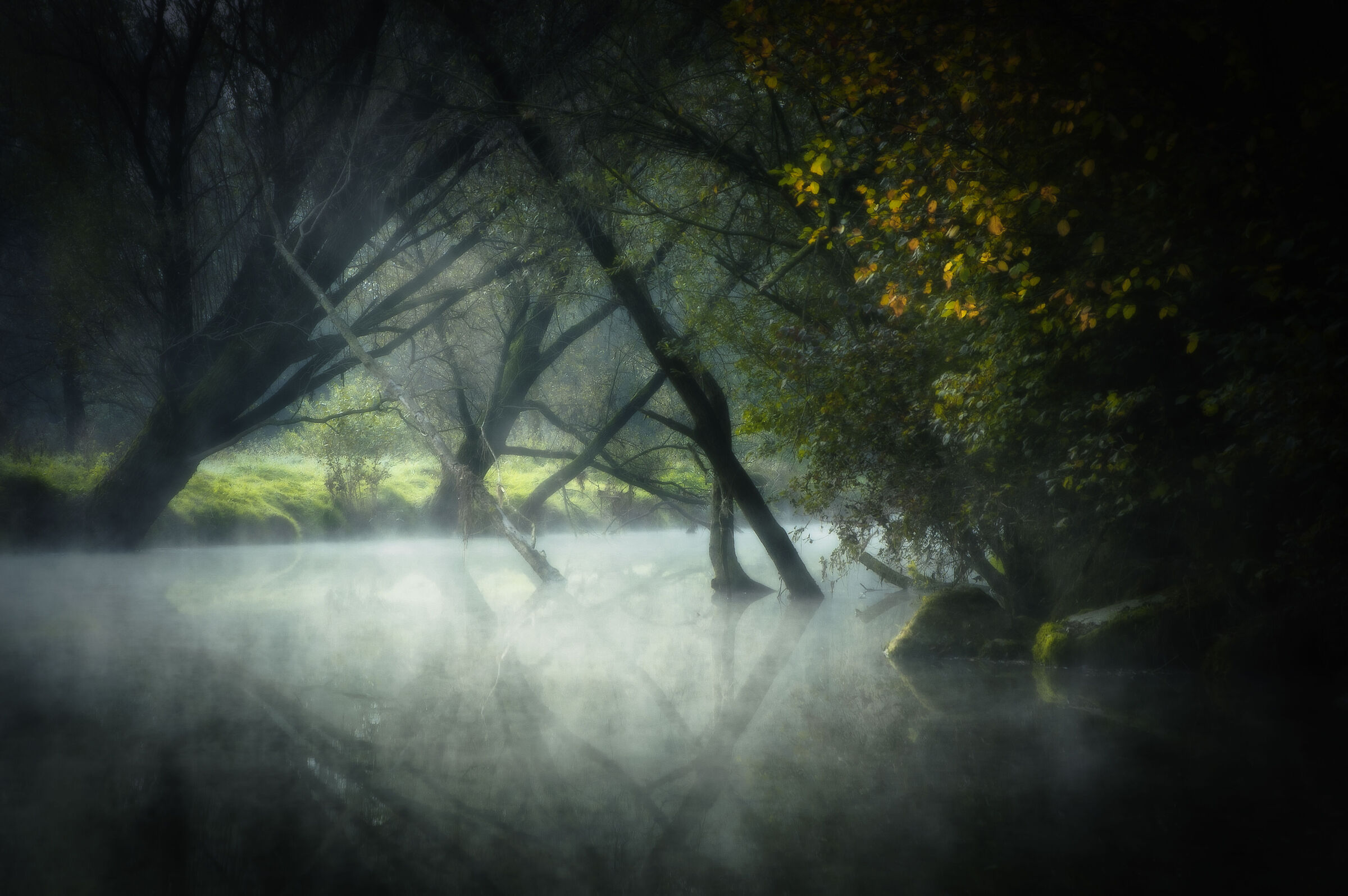 Le nebbie del Brenta