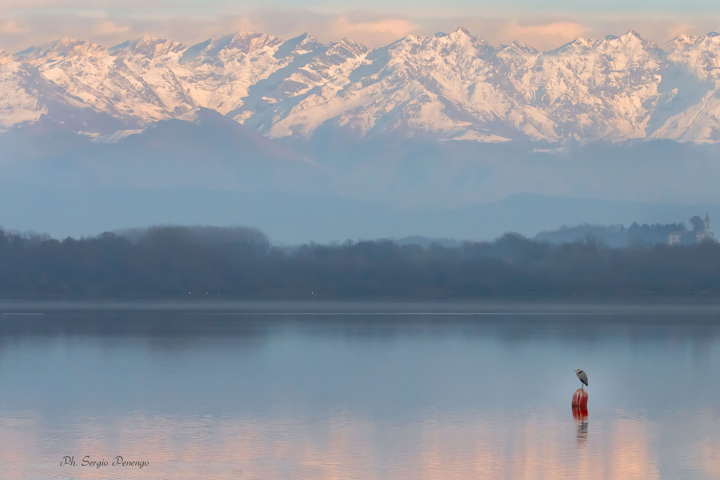 The Quiet of the Lake