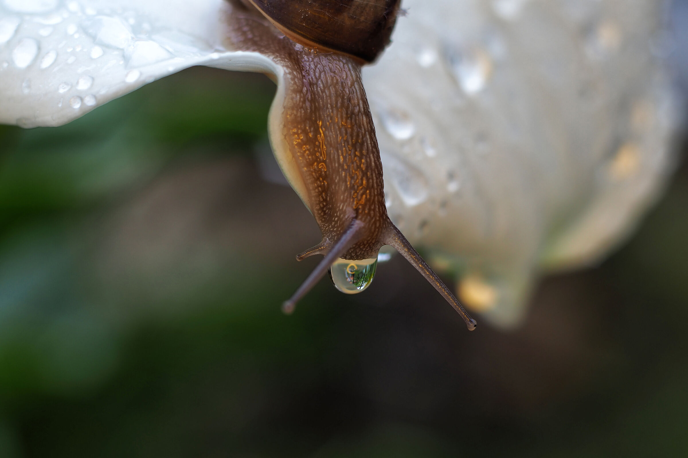 On the border of new year